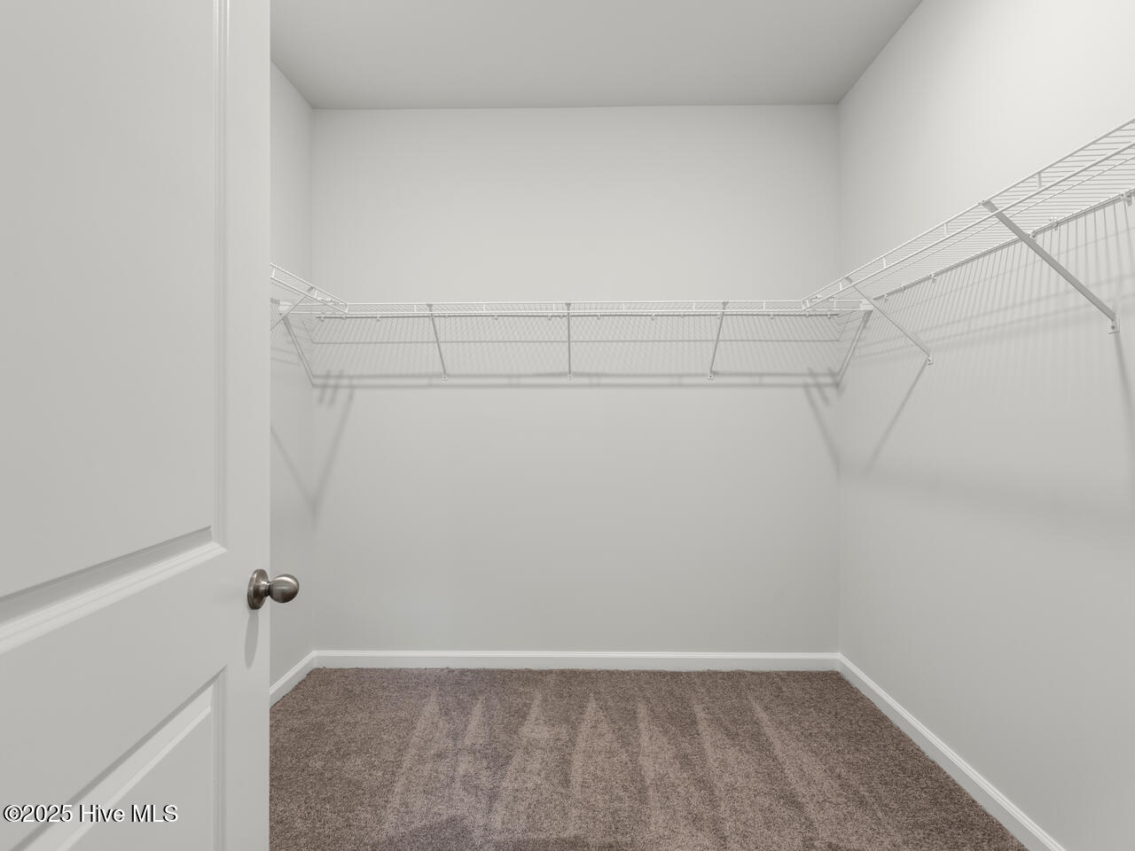 100515023 | Photo 18