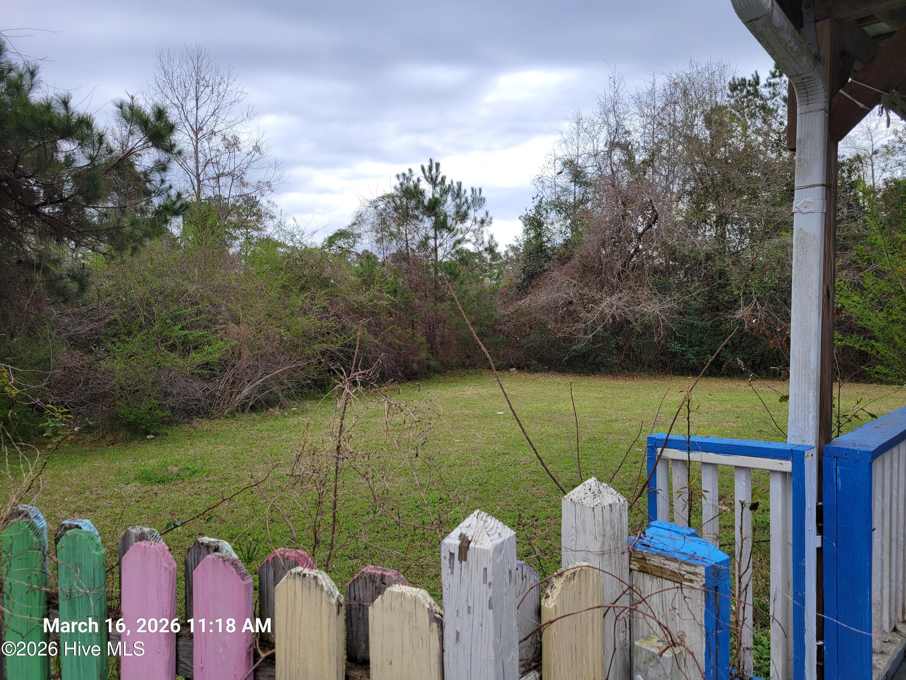 100561315 | Photo 17