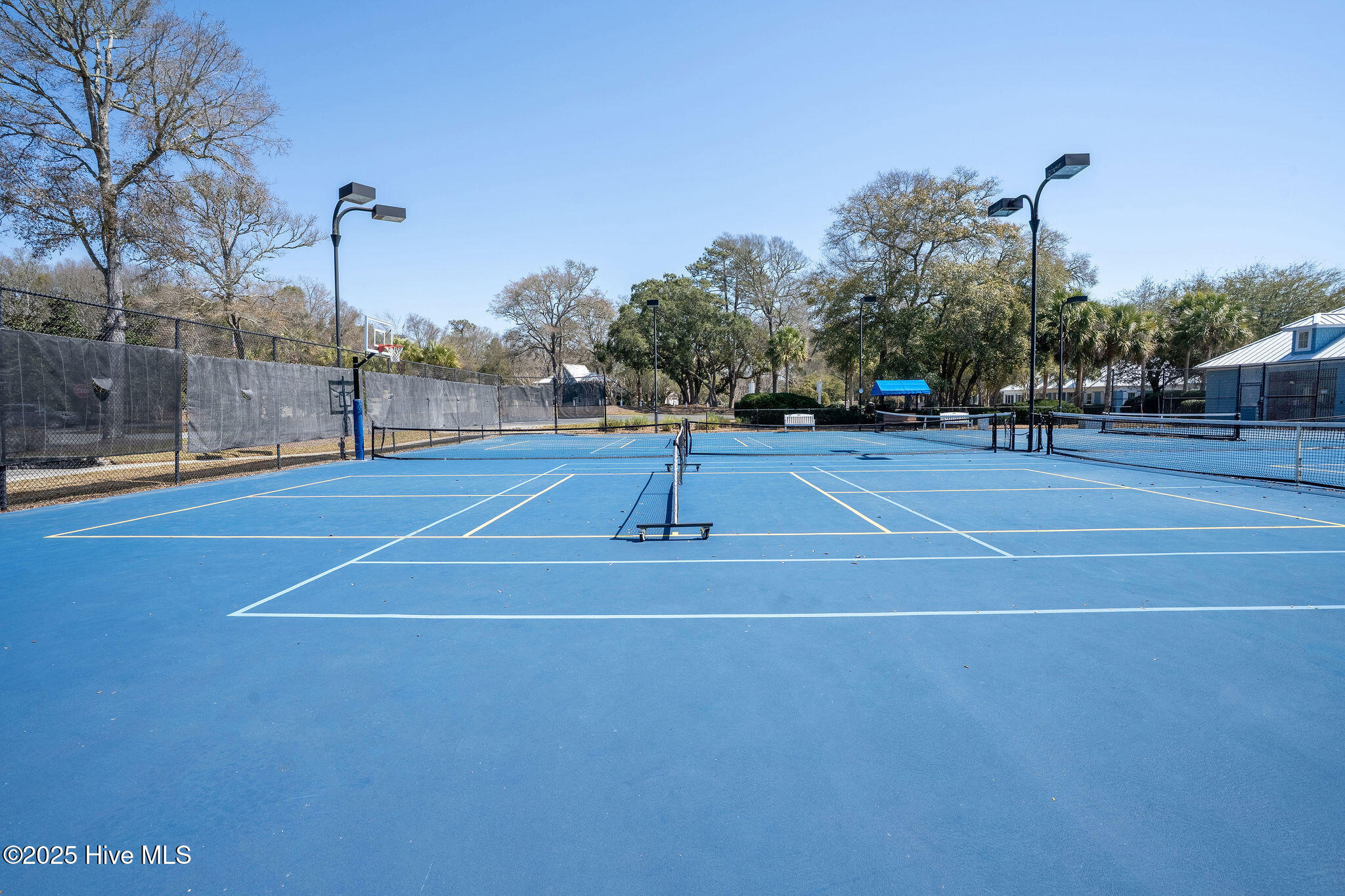 100488997 | Photo 107