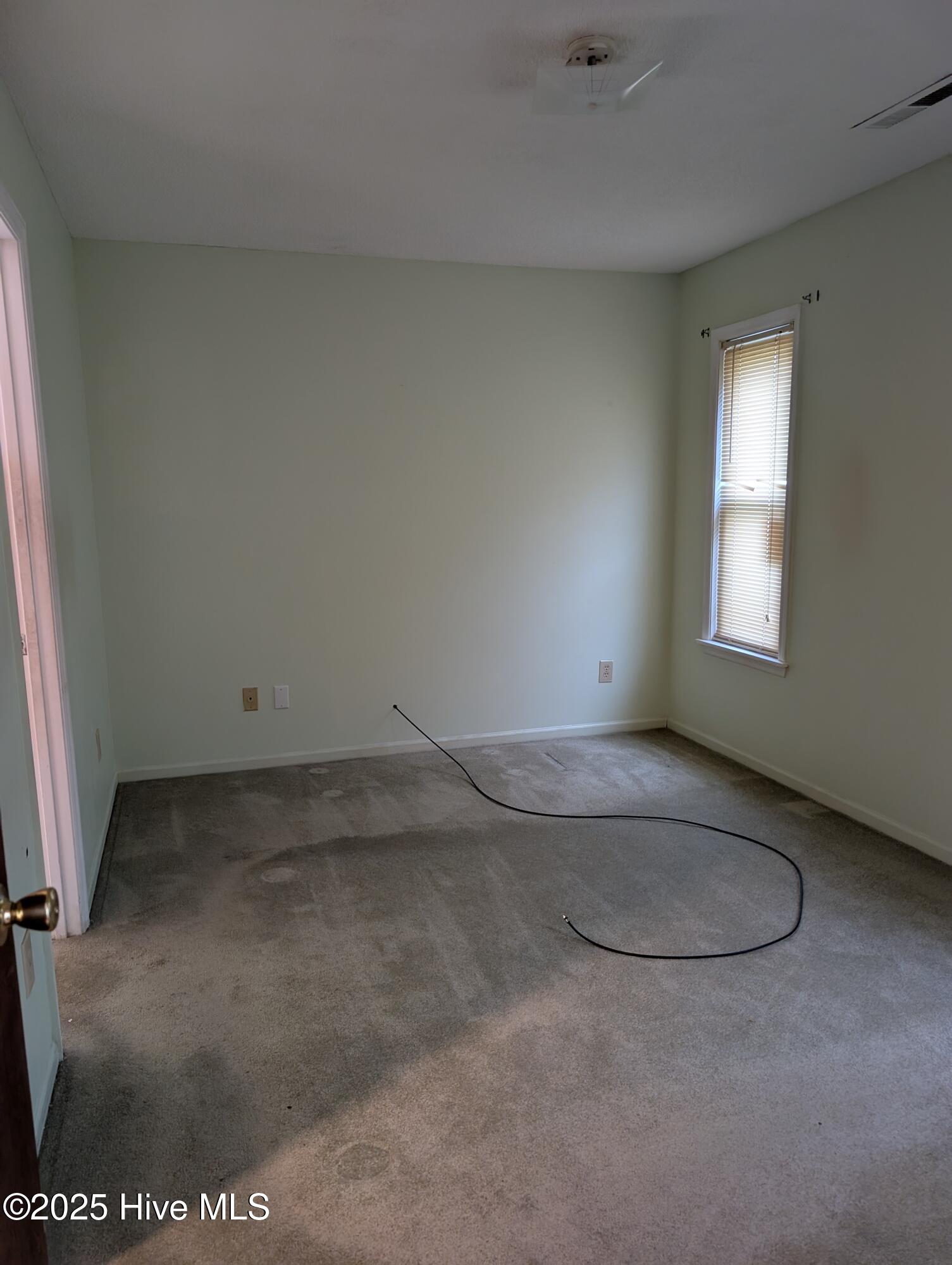 100519506 | Photo 11