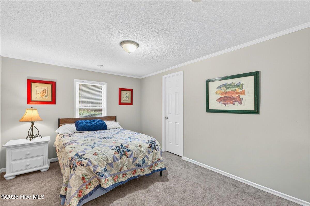 100535729 | Photo 20