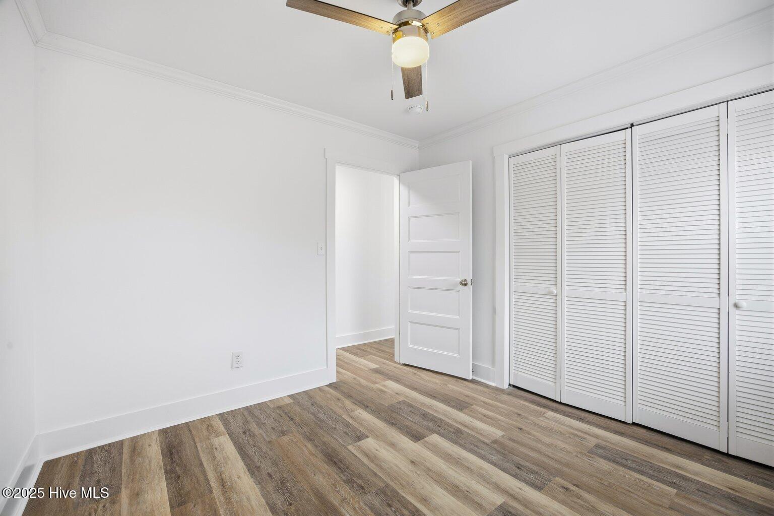 100543784 | Photo 27