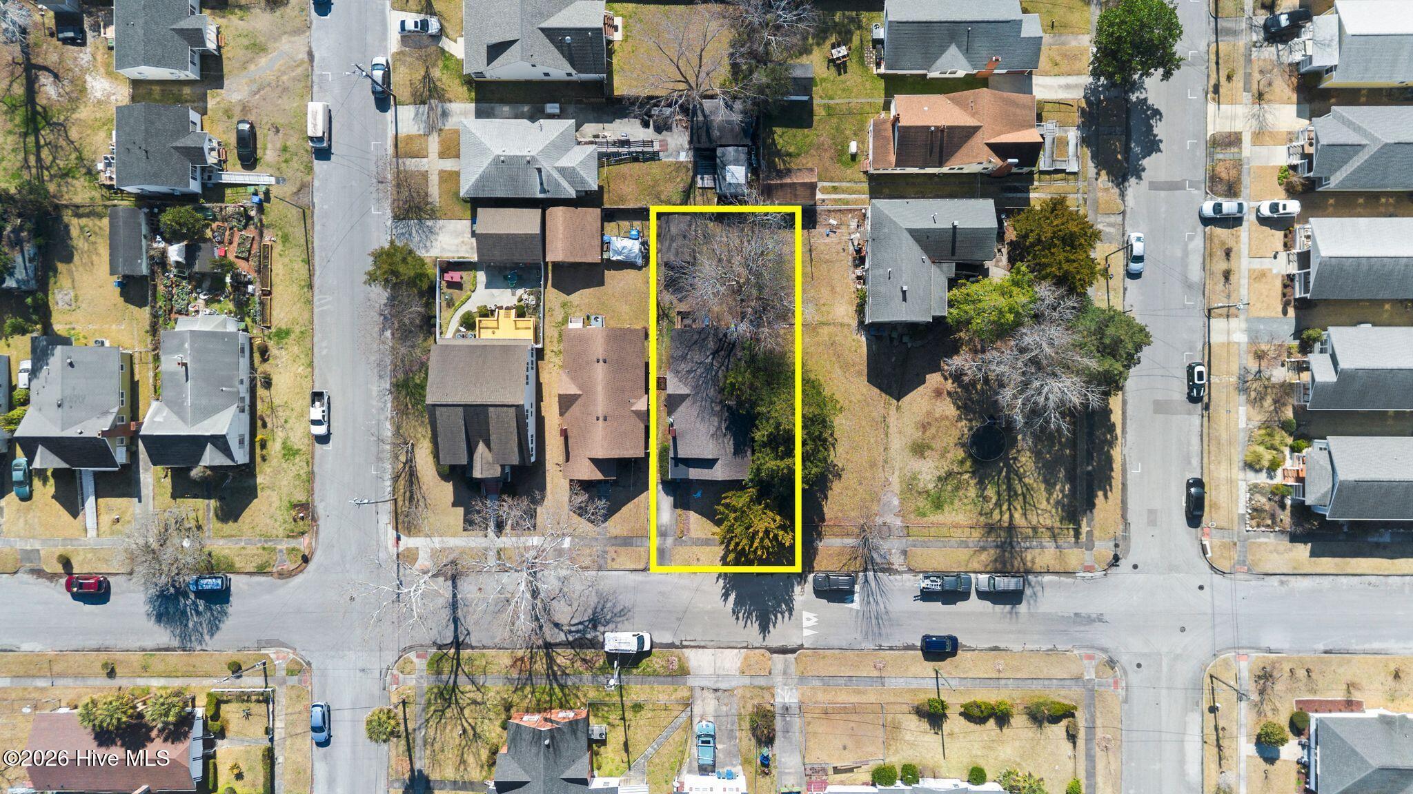 100554931 | Photo 49