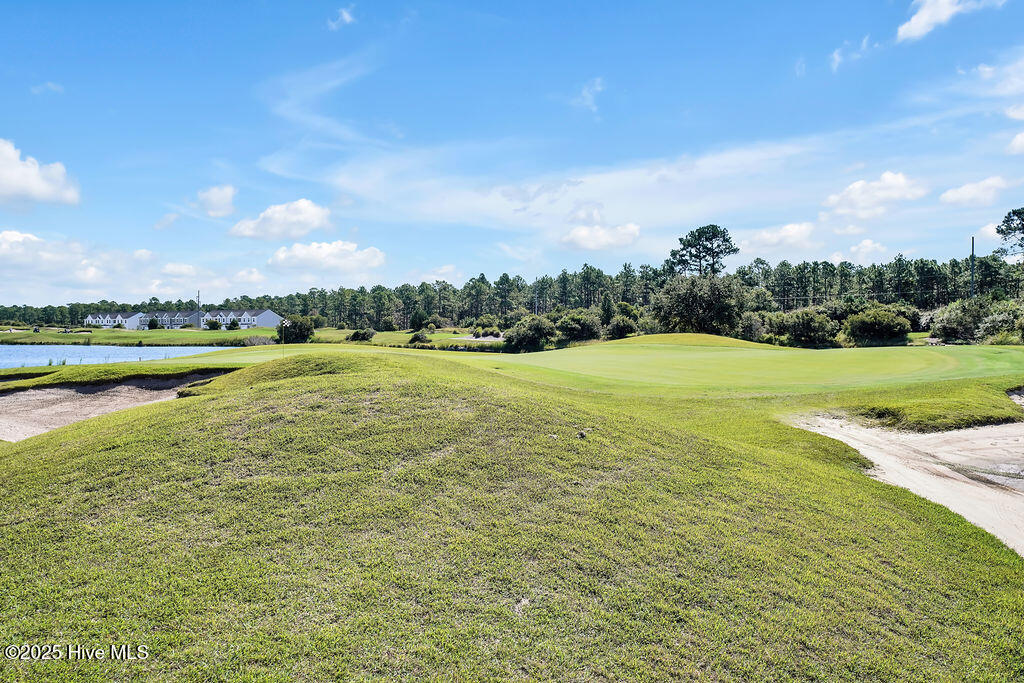 100535984 | Photo 112