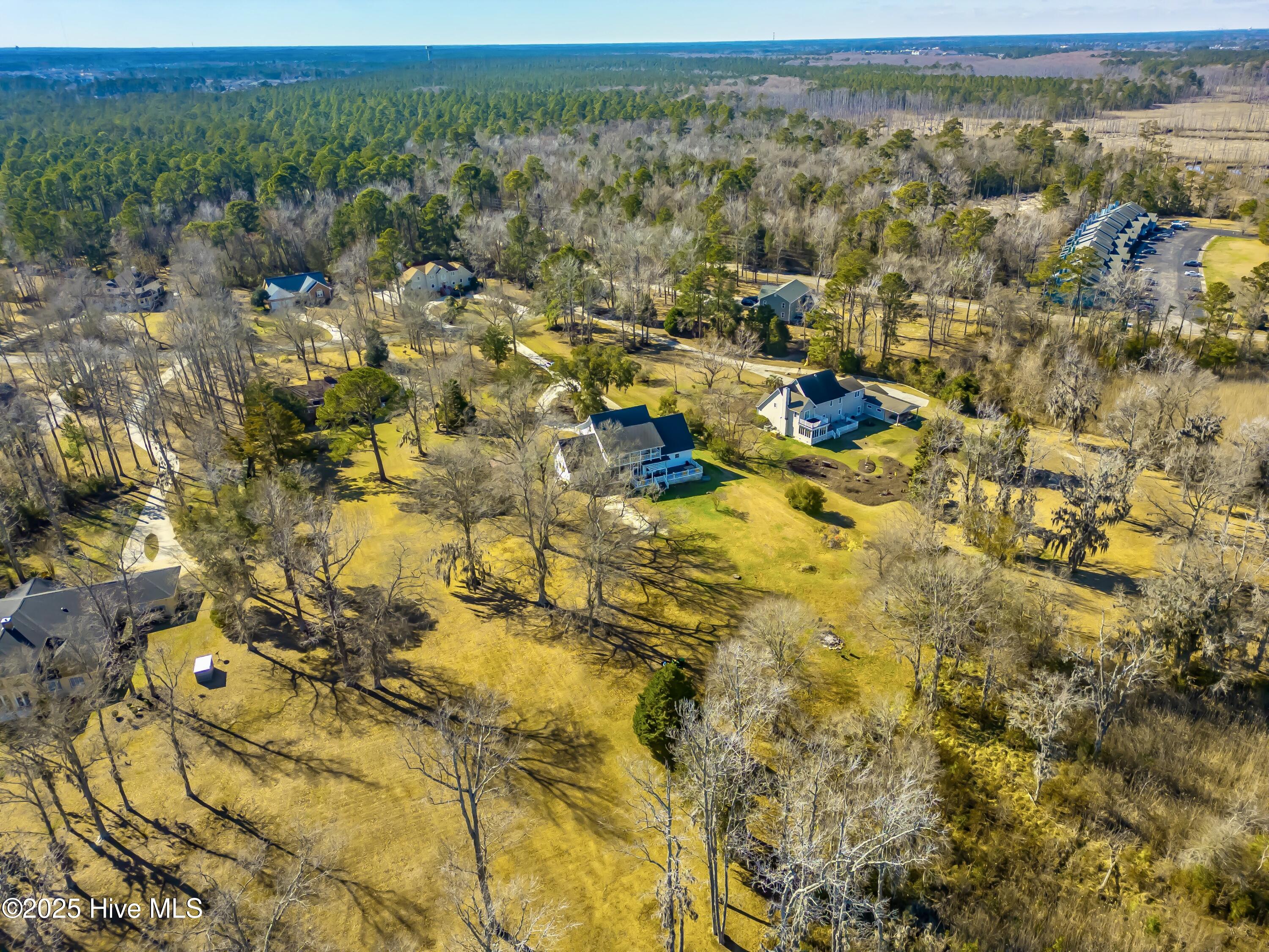 100494735 | Photo 64