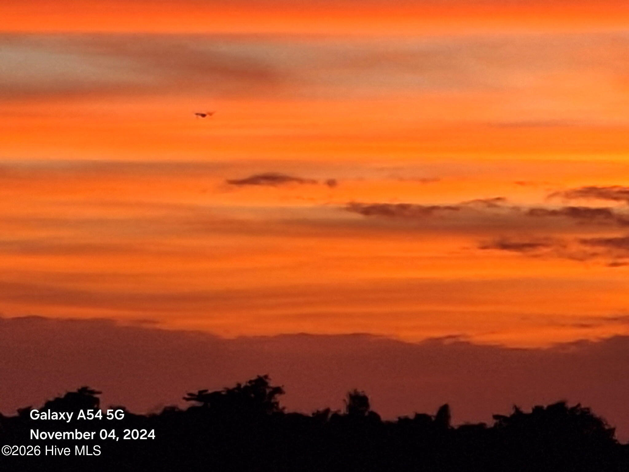 100566344 | Photo 79