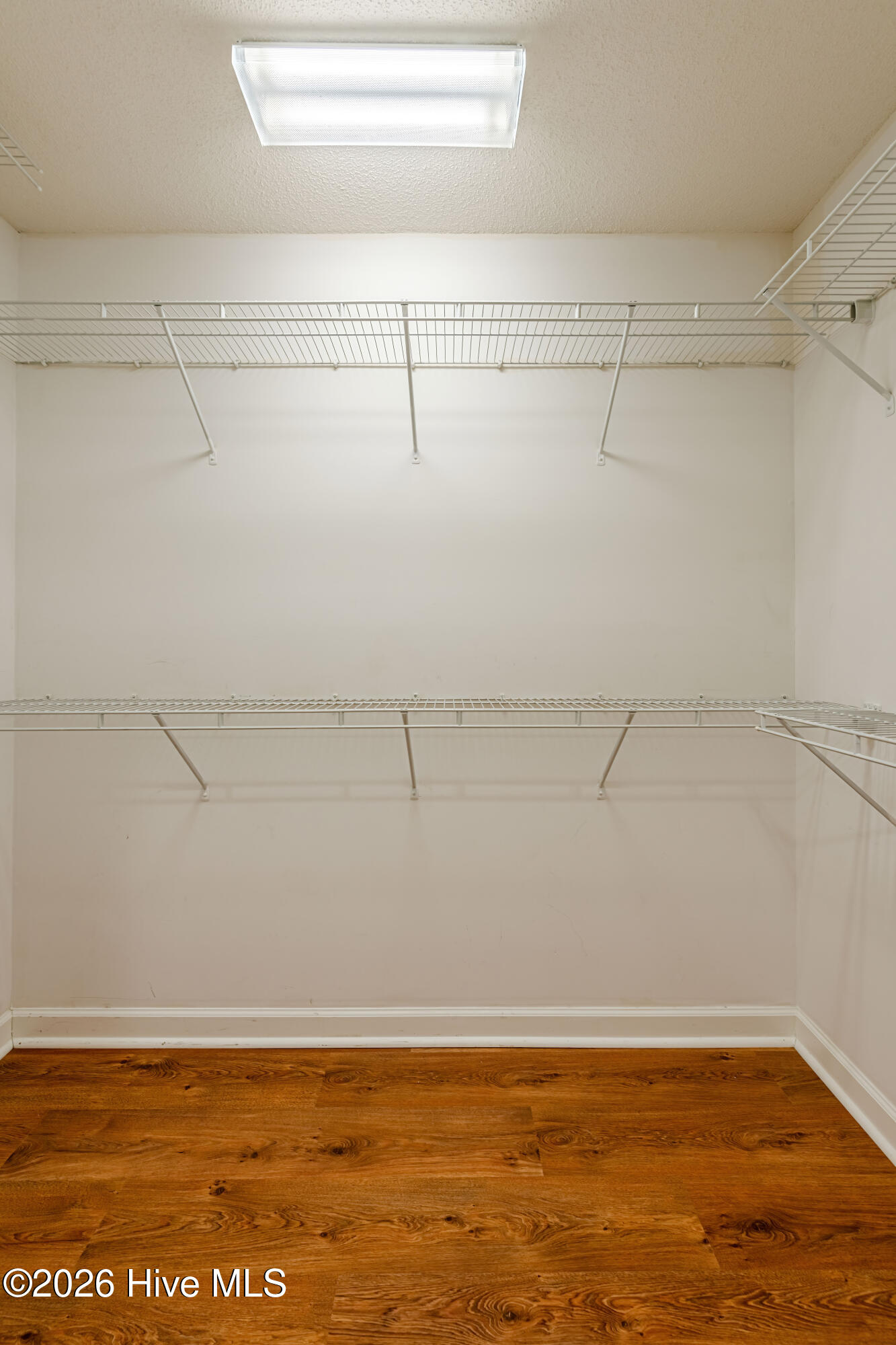 100536665 | Photo 19