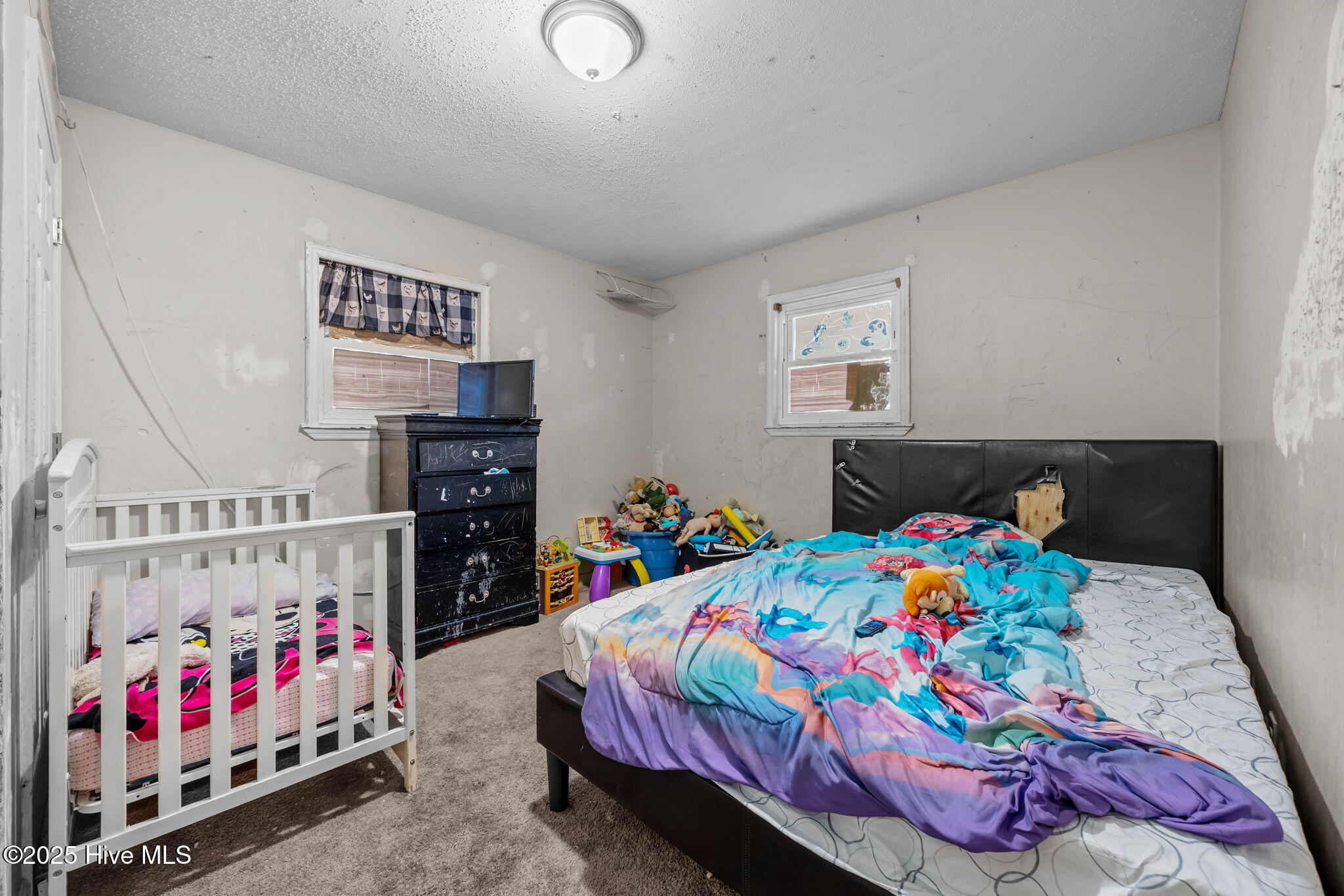 100545401 | Photo 29