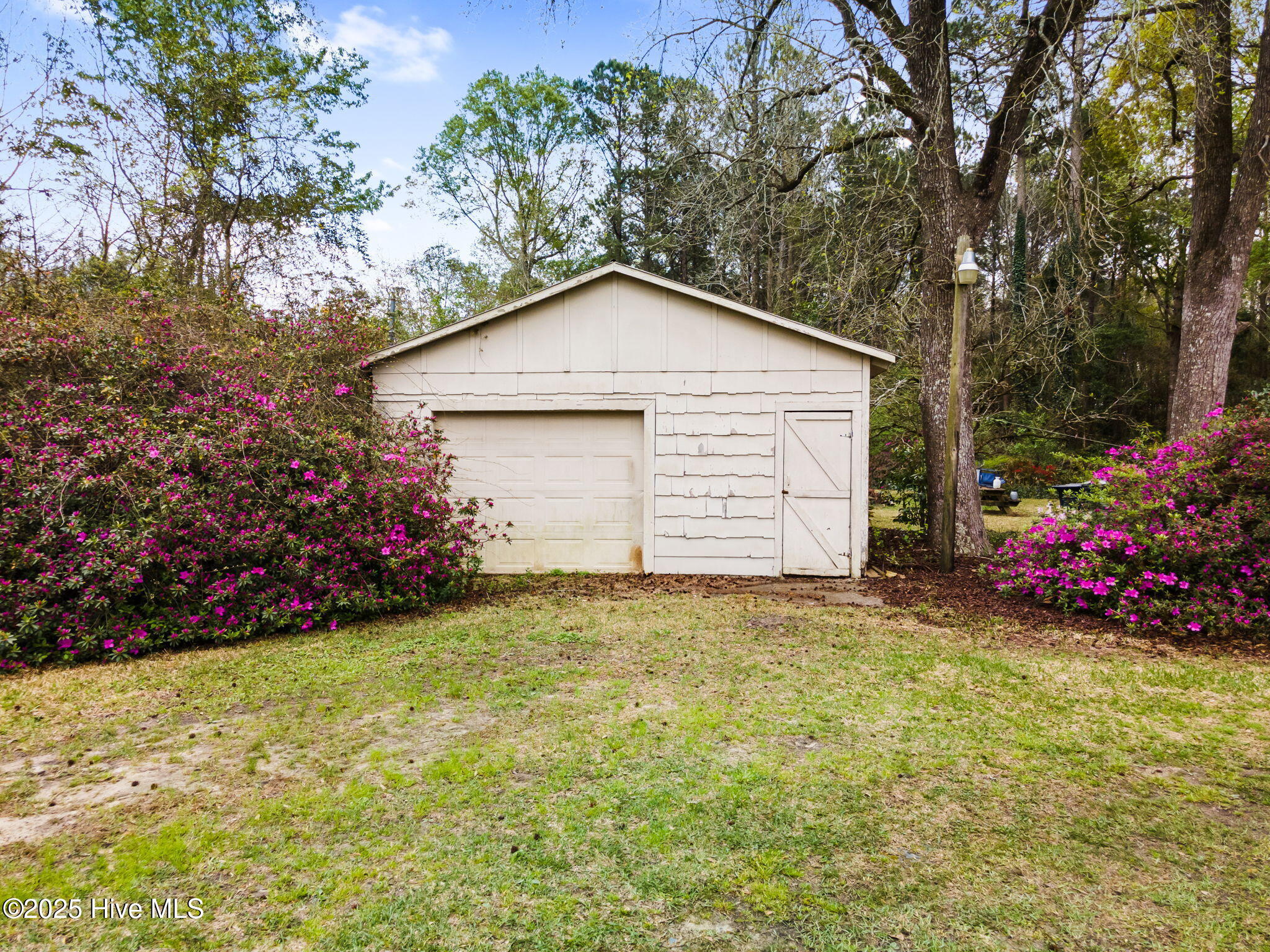 100557688 | Photo 50