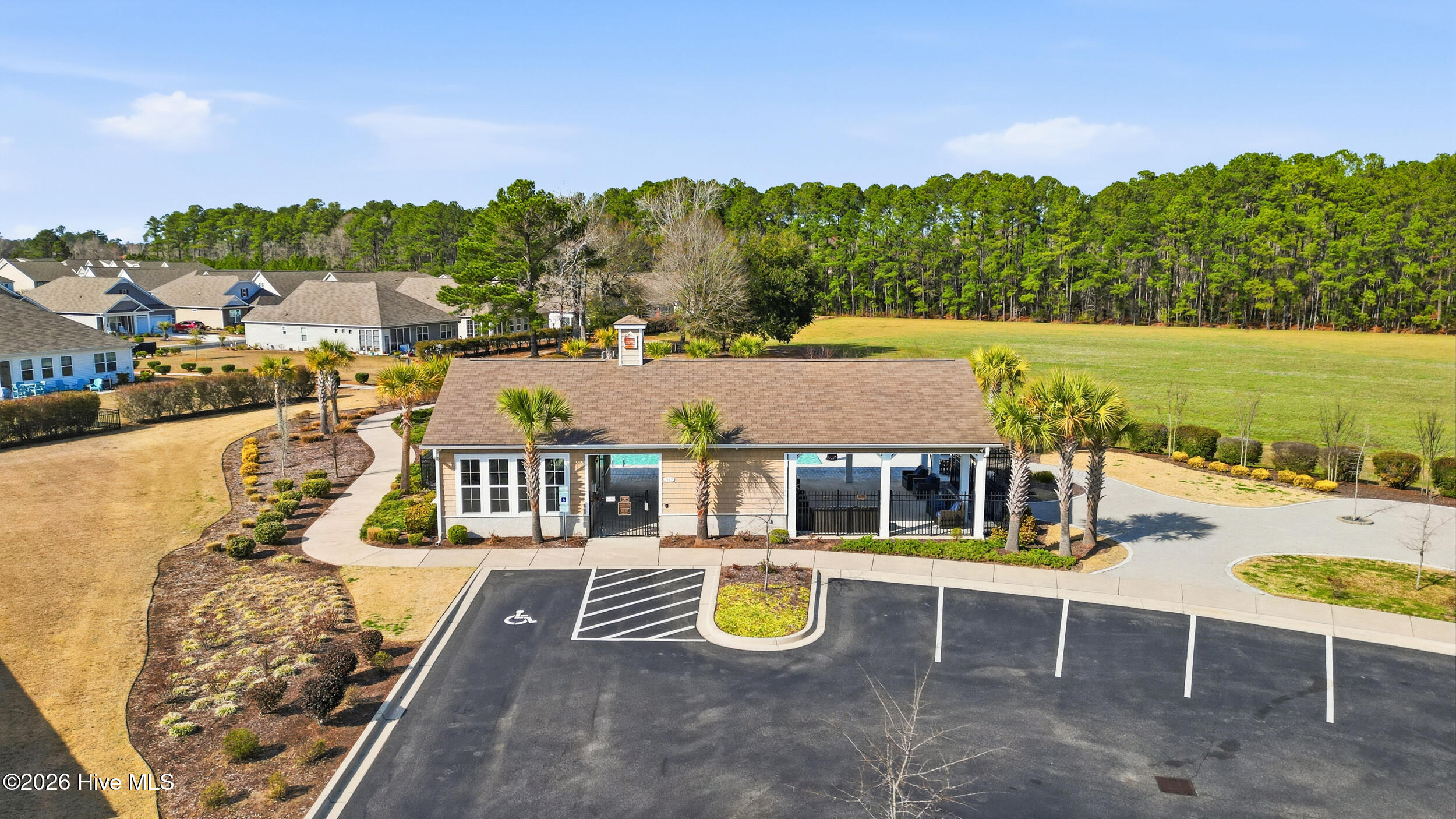 100558001 | Photo 34