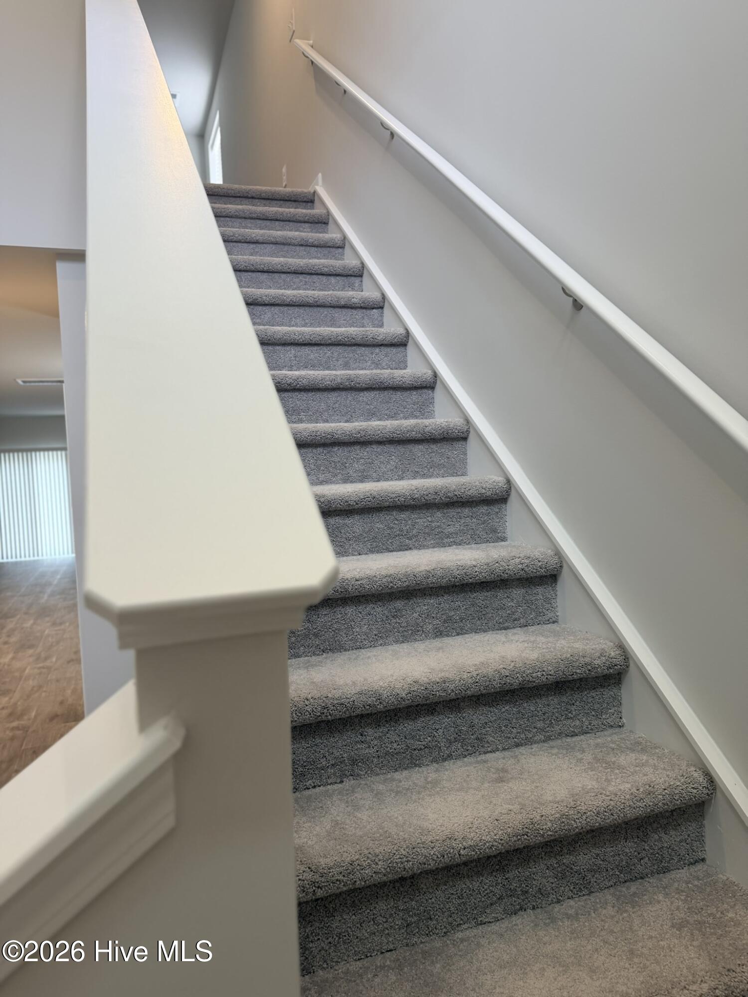 100557384 | Photo 14