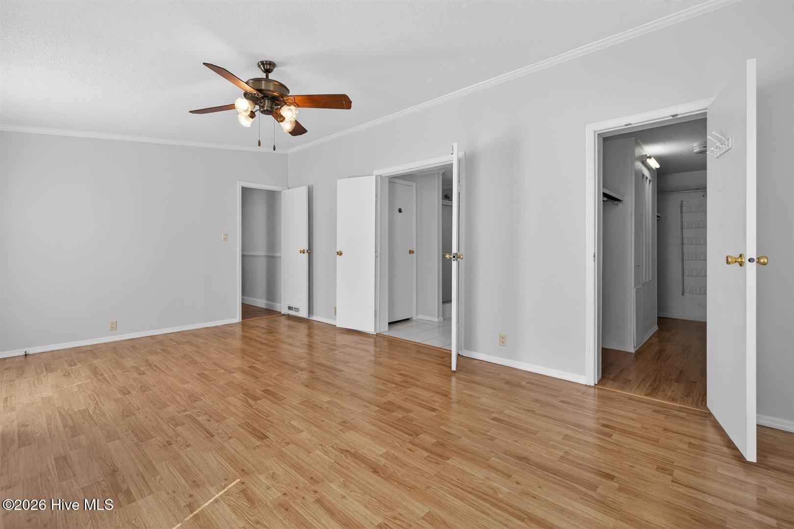 100558434 | Photo 23