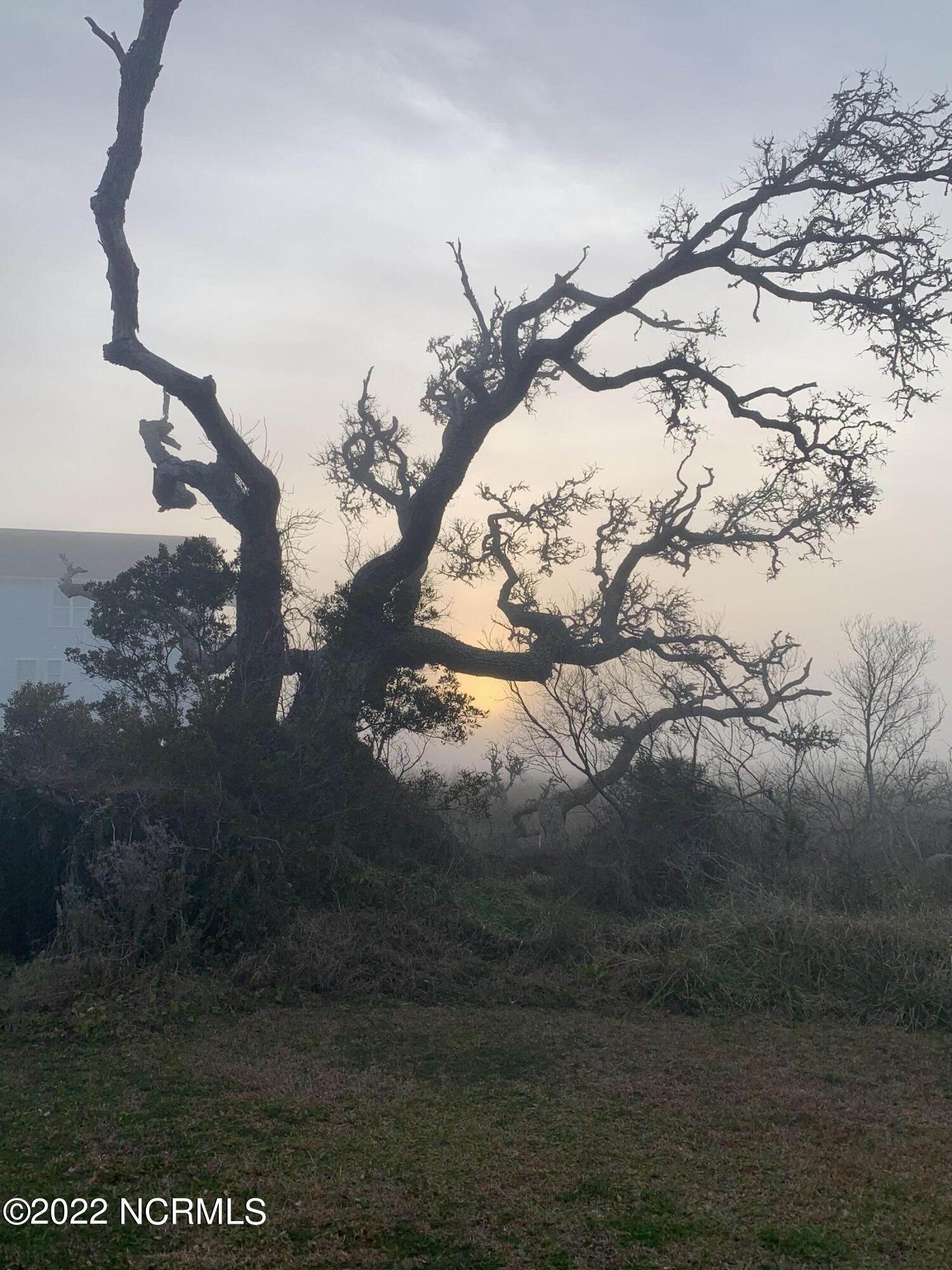 100496127 | Photo 48