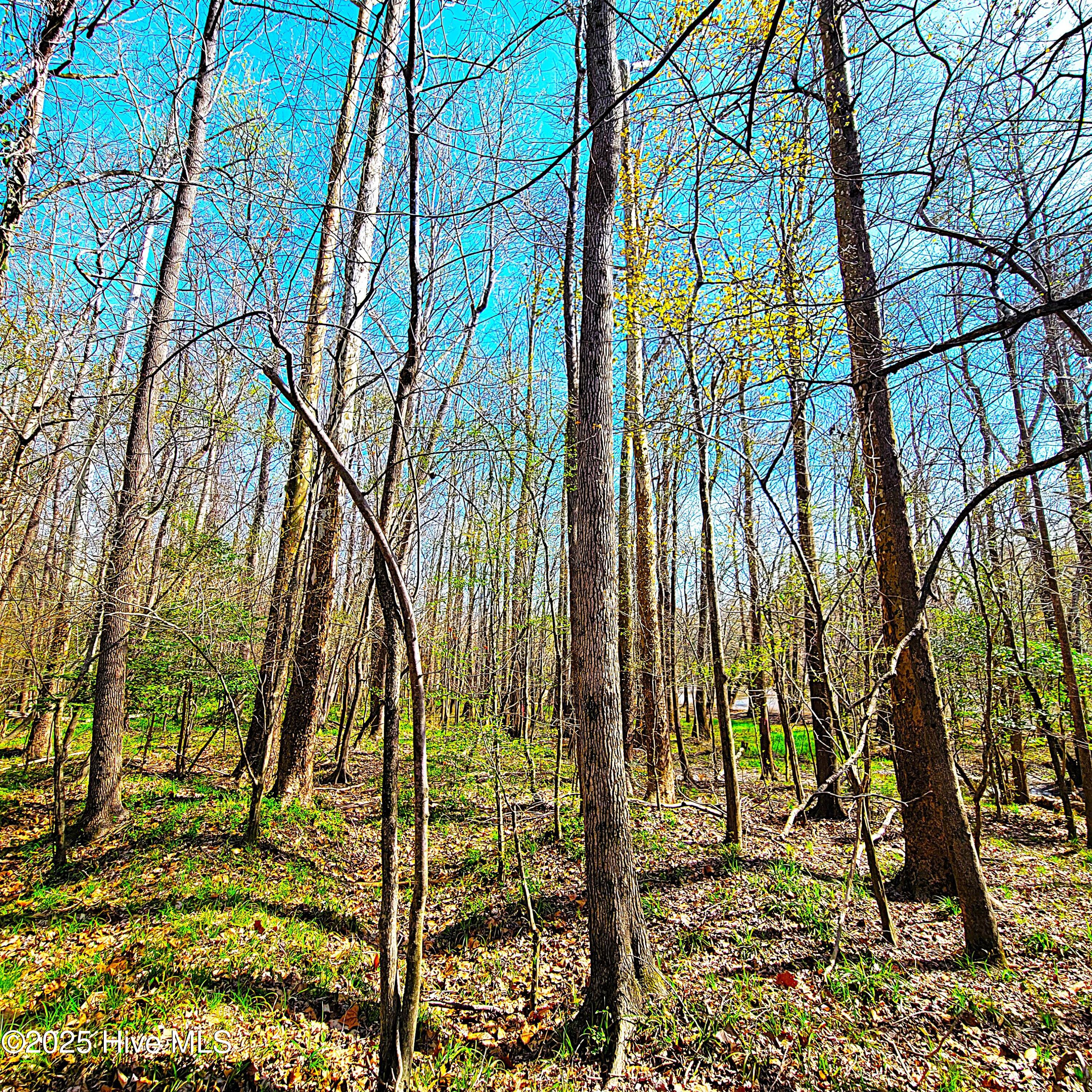 100496184 | Photo 15