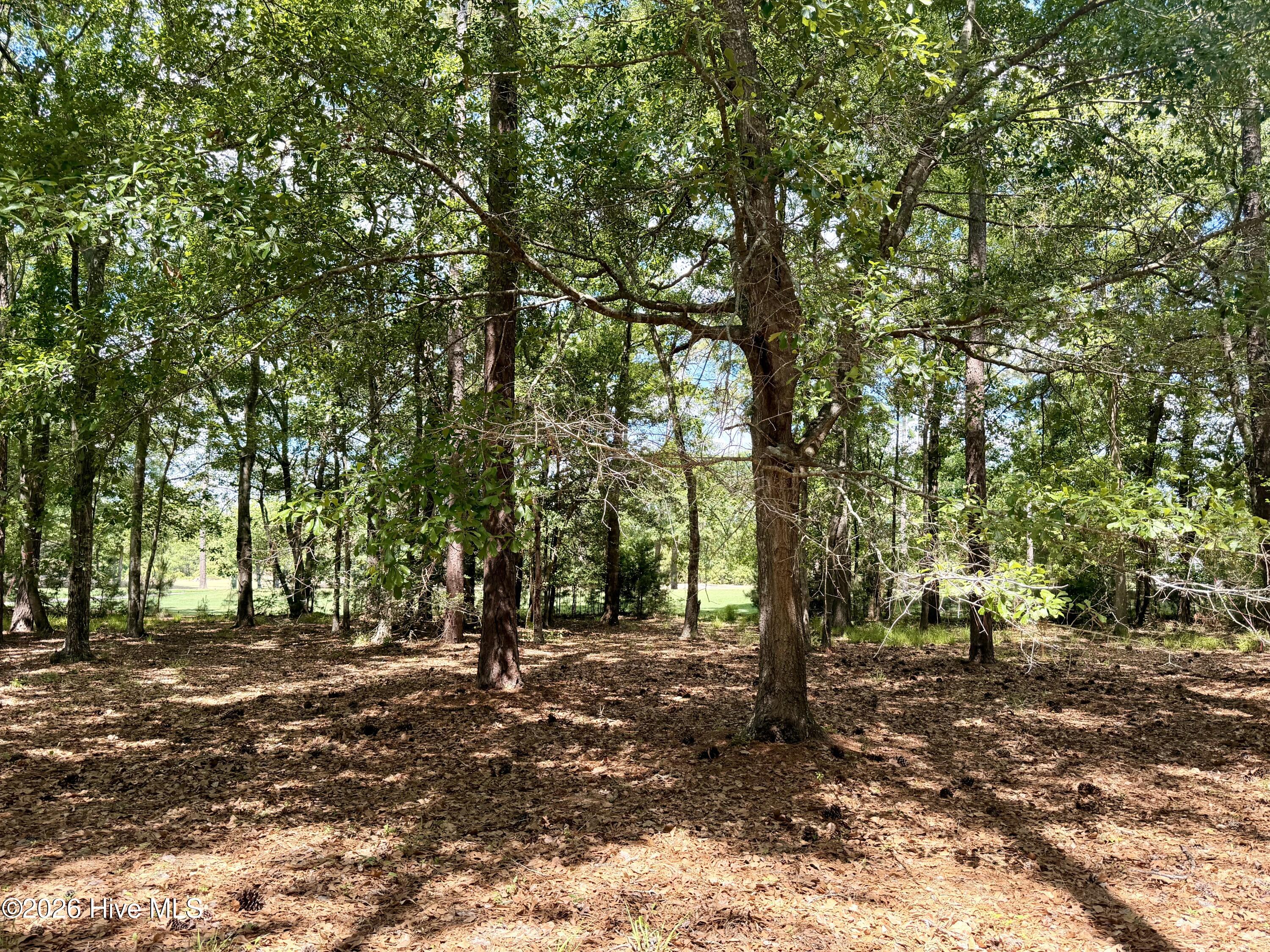 100572013 | Photo 4
