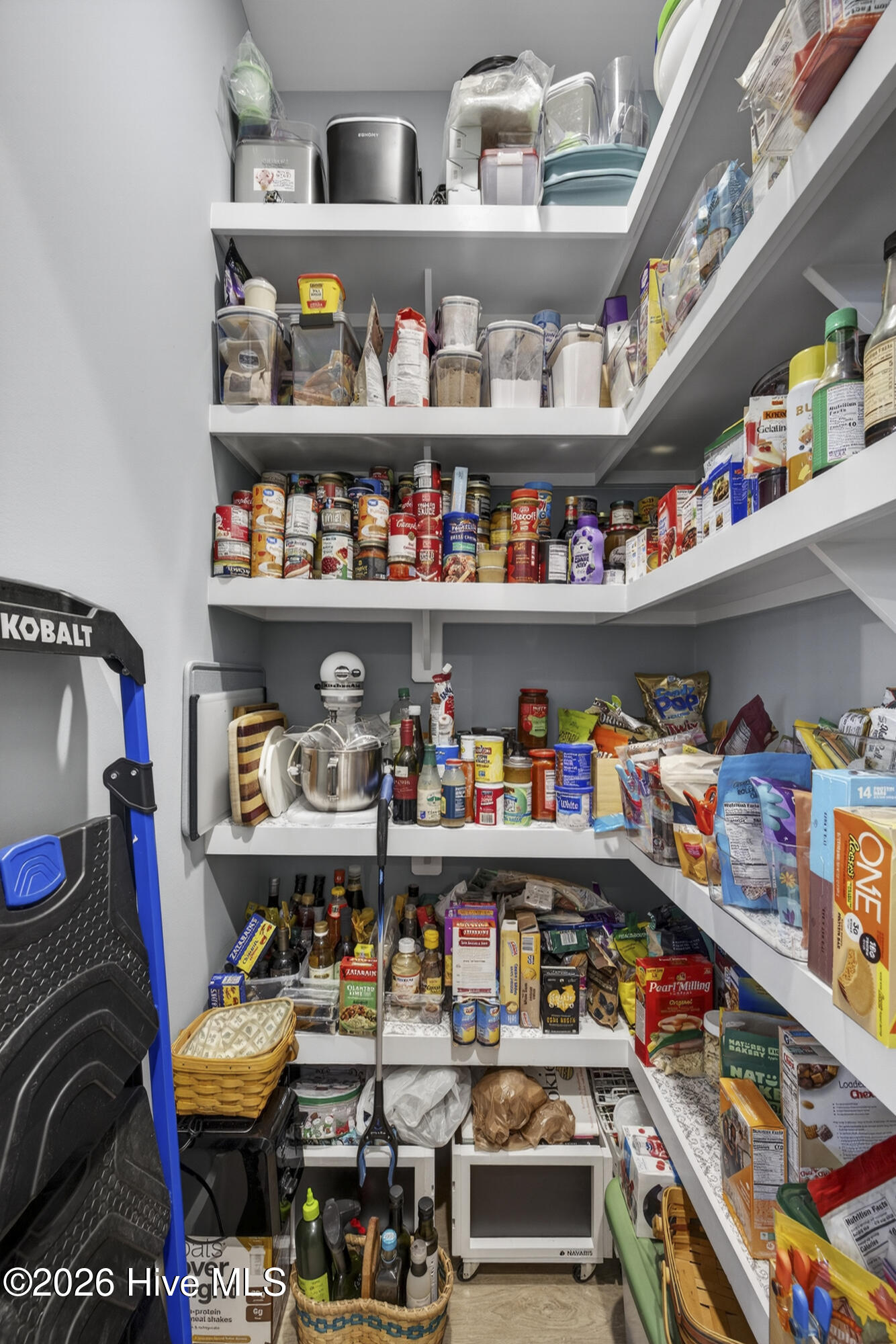 100556543 | Photo 10