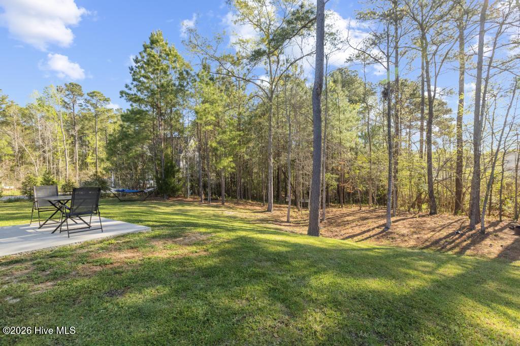 100565616 | Photo 35