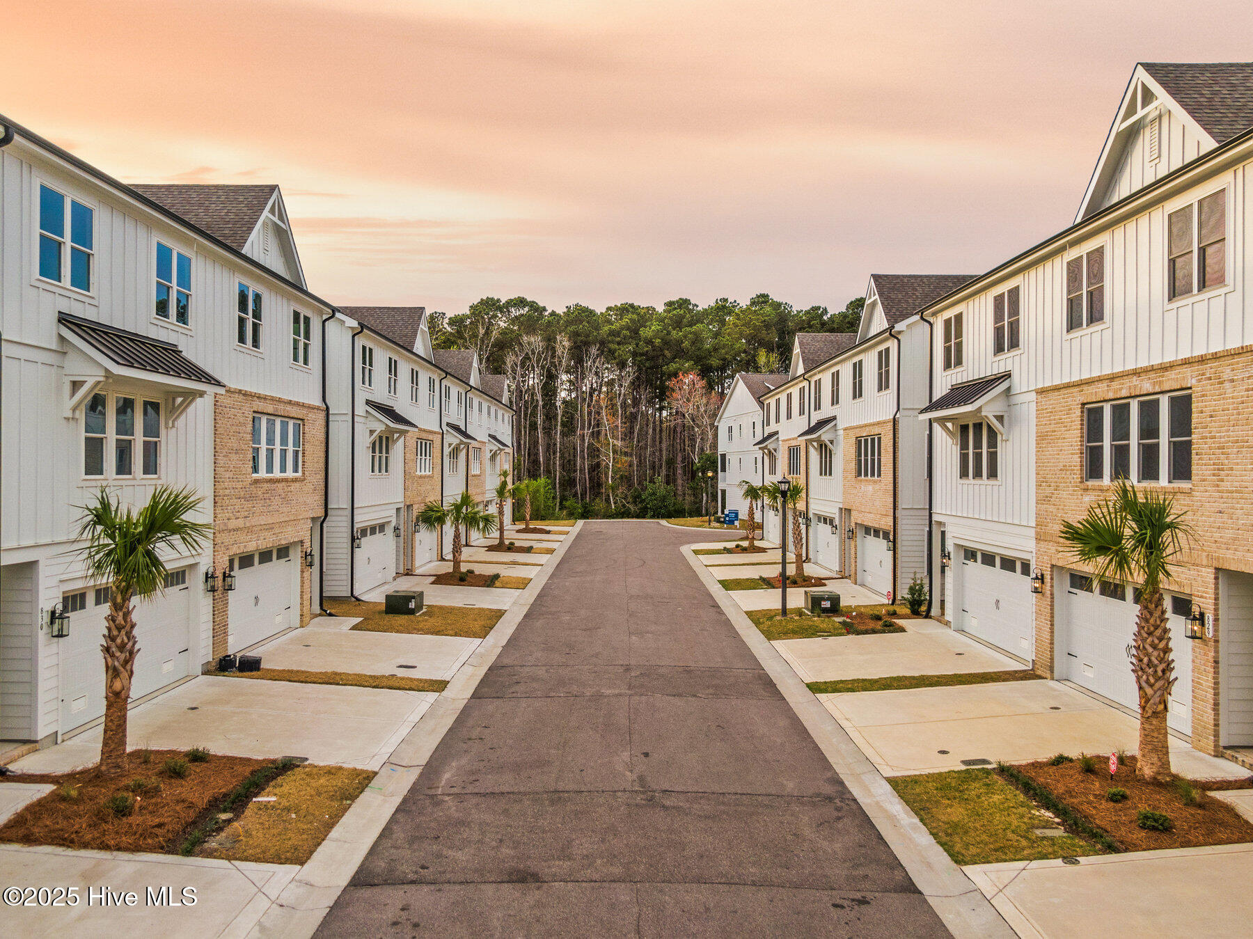 100532132 | Photo 13