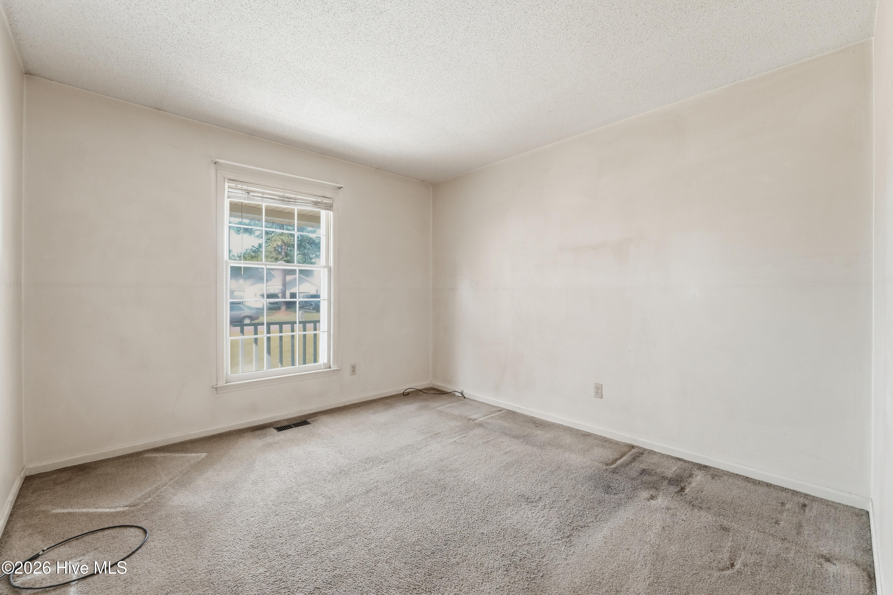 100563491 | Photo 23