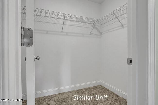 100542683 | Photo 18