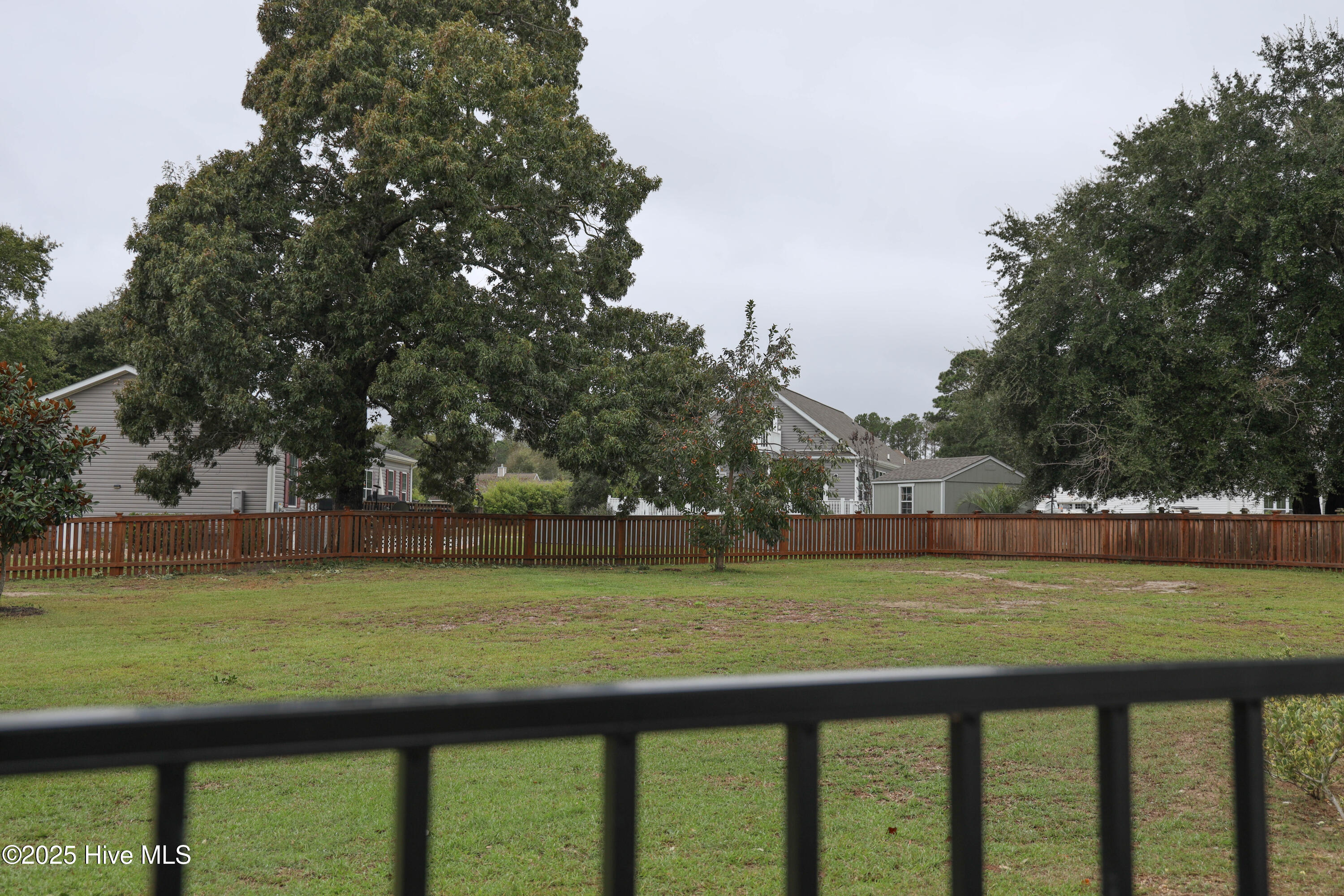 100536408 | Photo 65