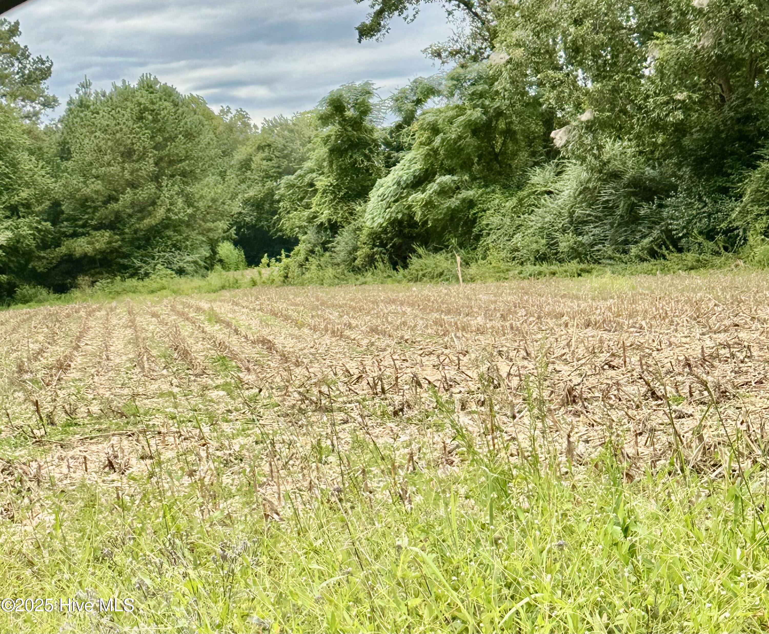 146 Cherry Street, Cerro Gordo, NC, 28430