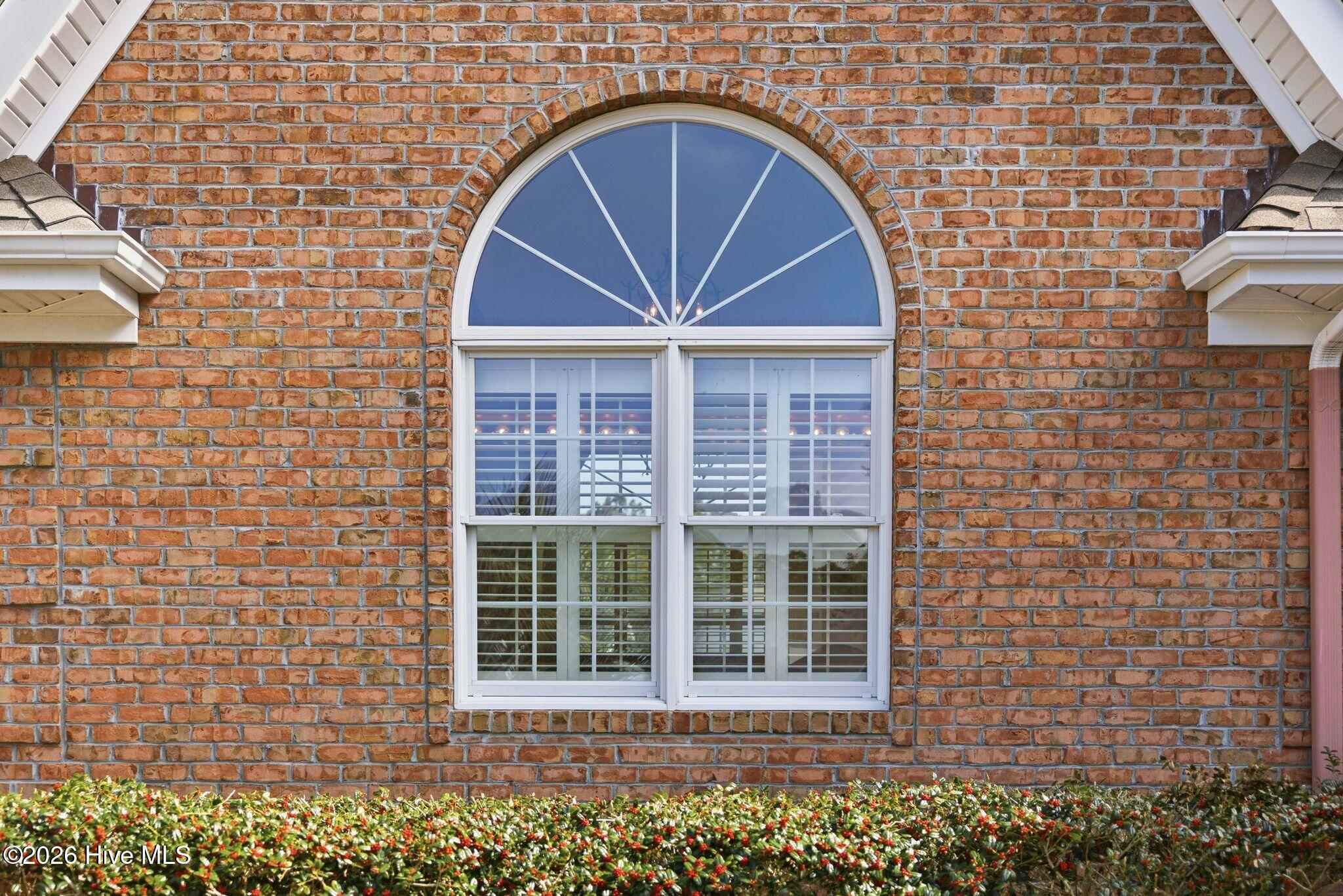 100565083 | Photo 88