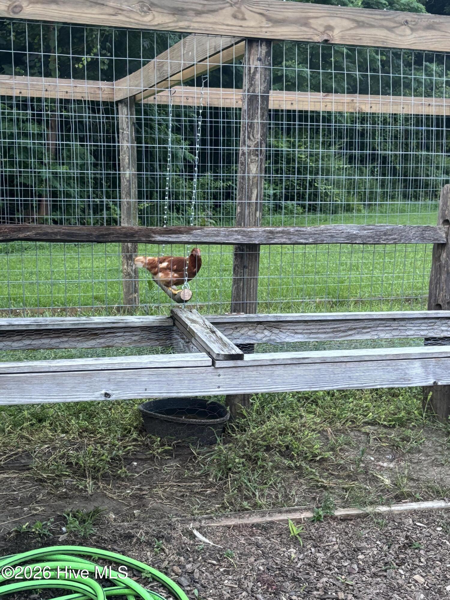 100556913 | Photo 62