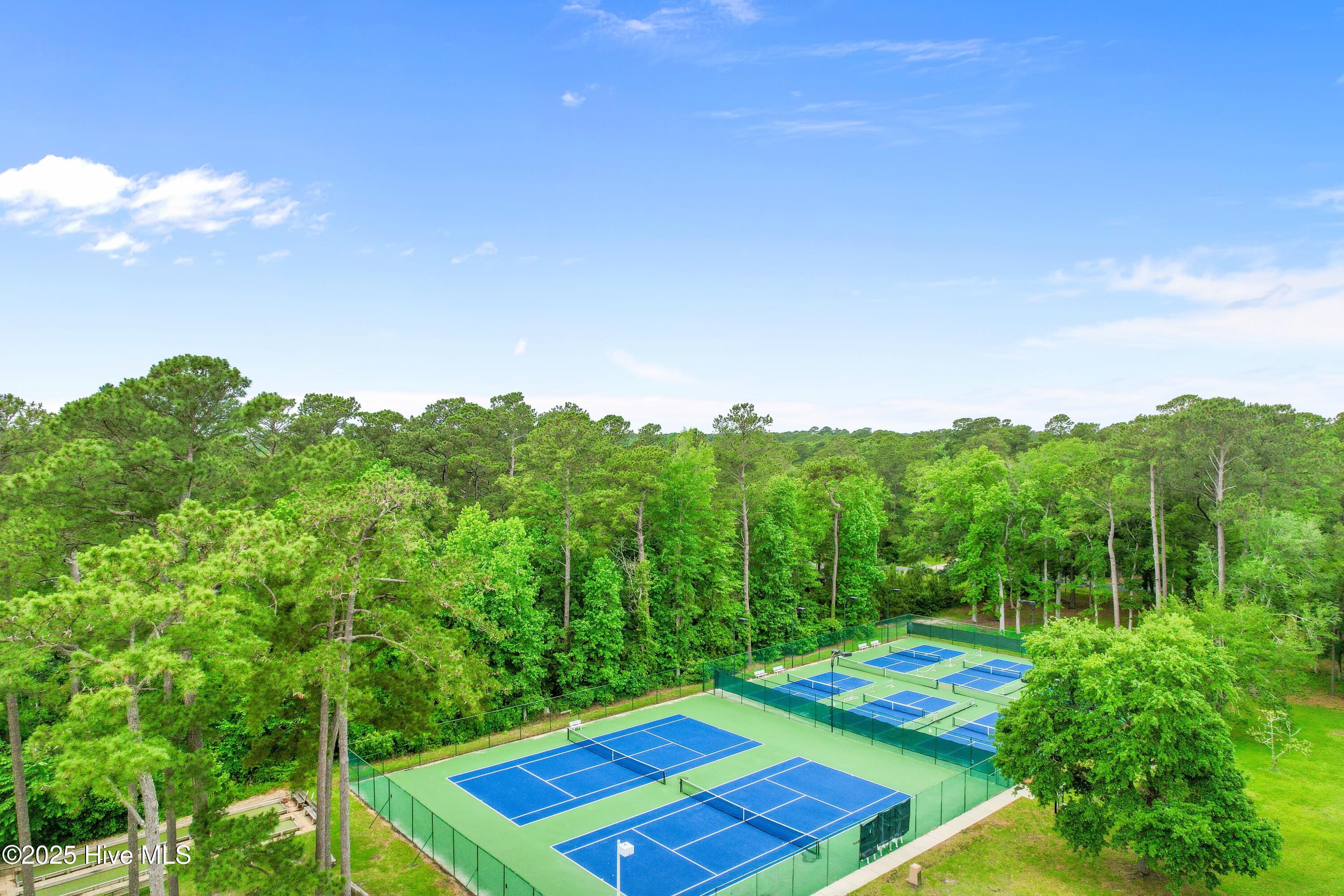 100515628 | Photo 51