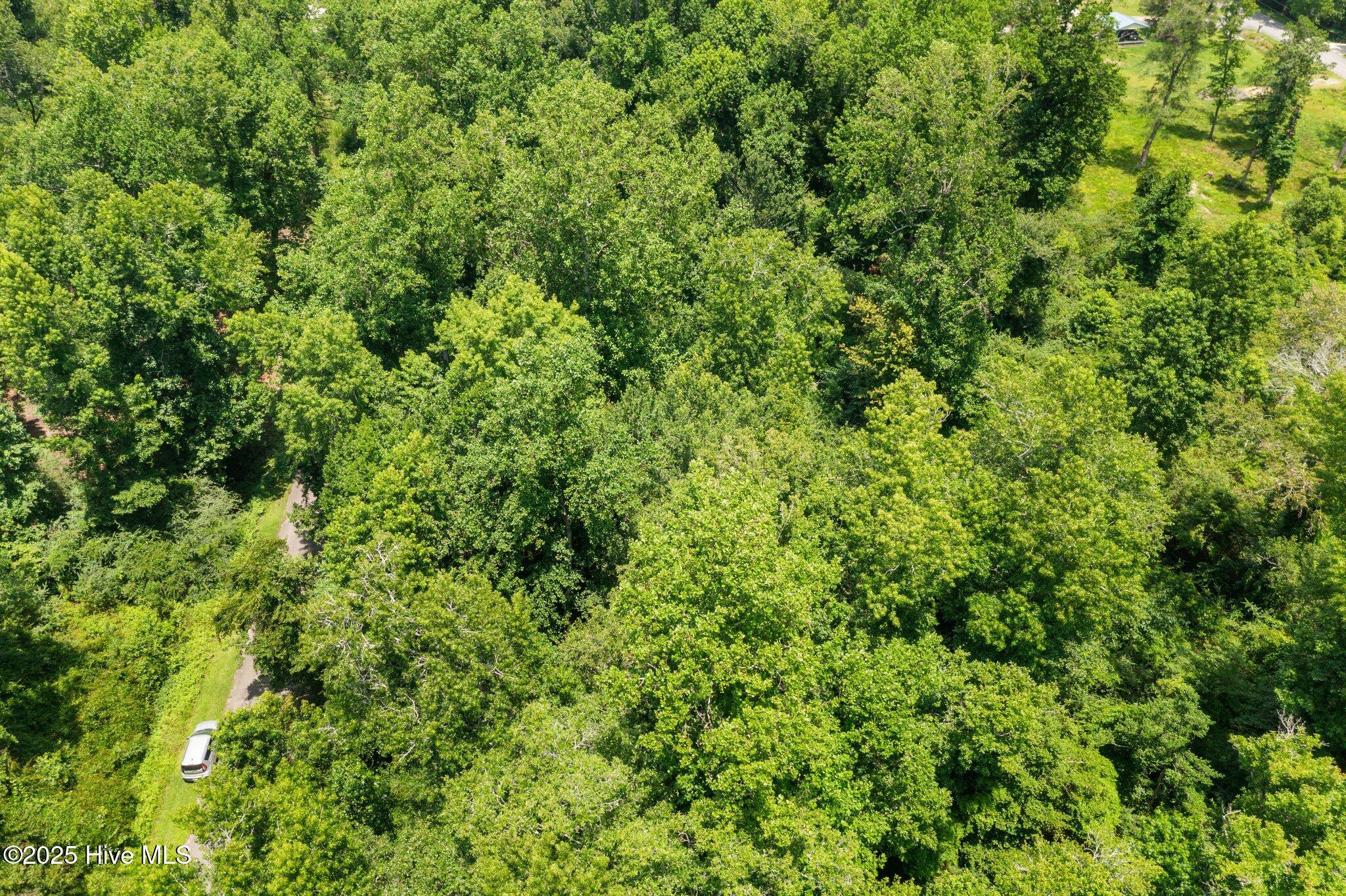 5-web-or-mls-DJI_0225