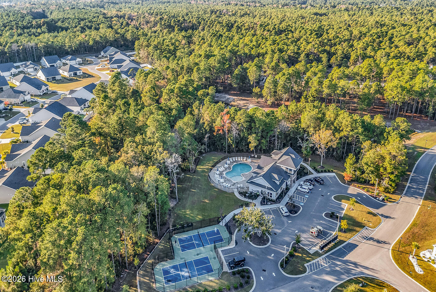 100560005 | Photo 56