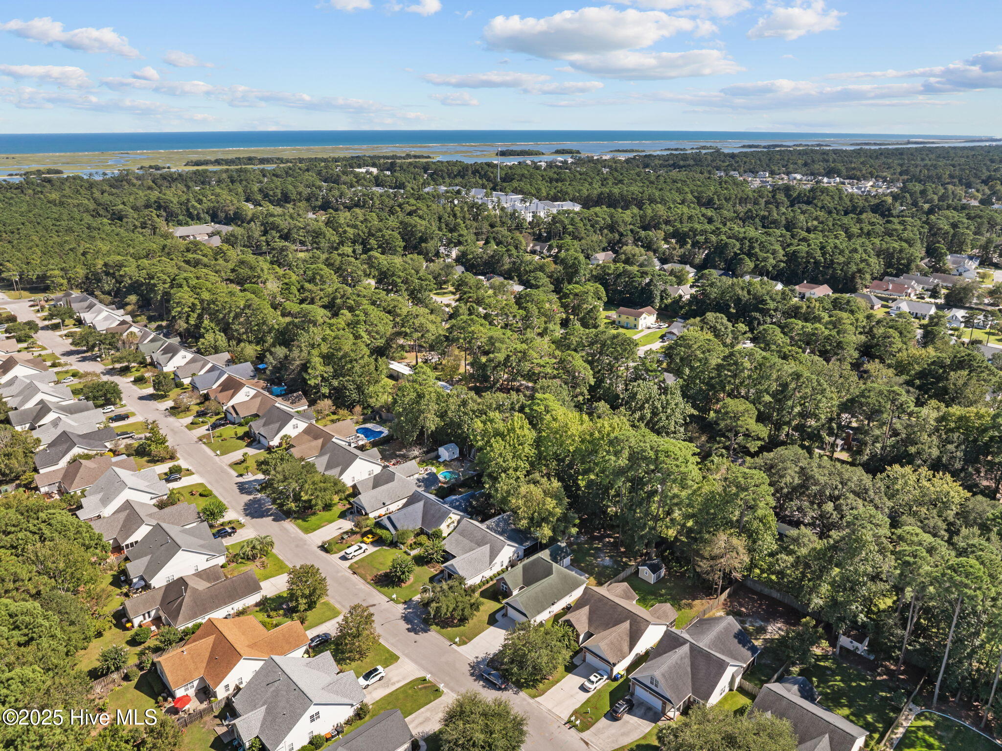 100529967 | Photo 44