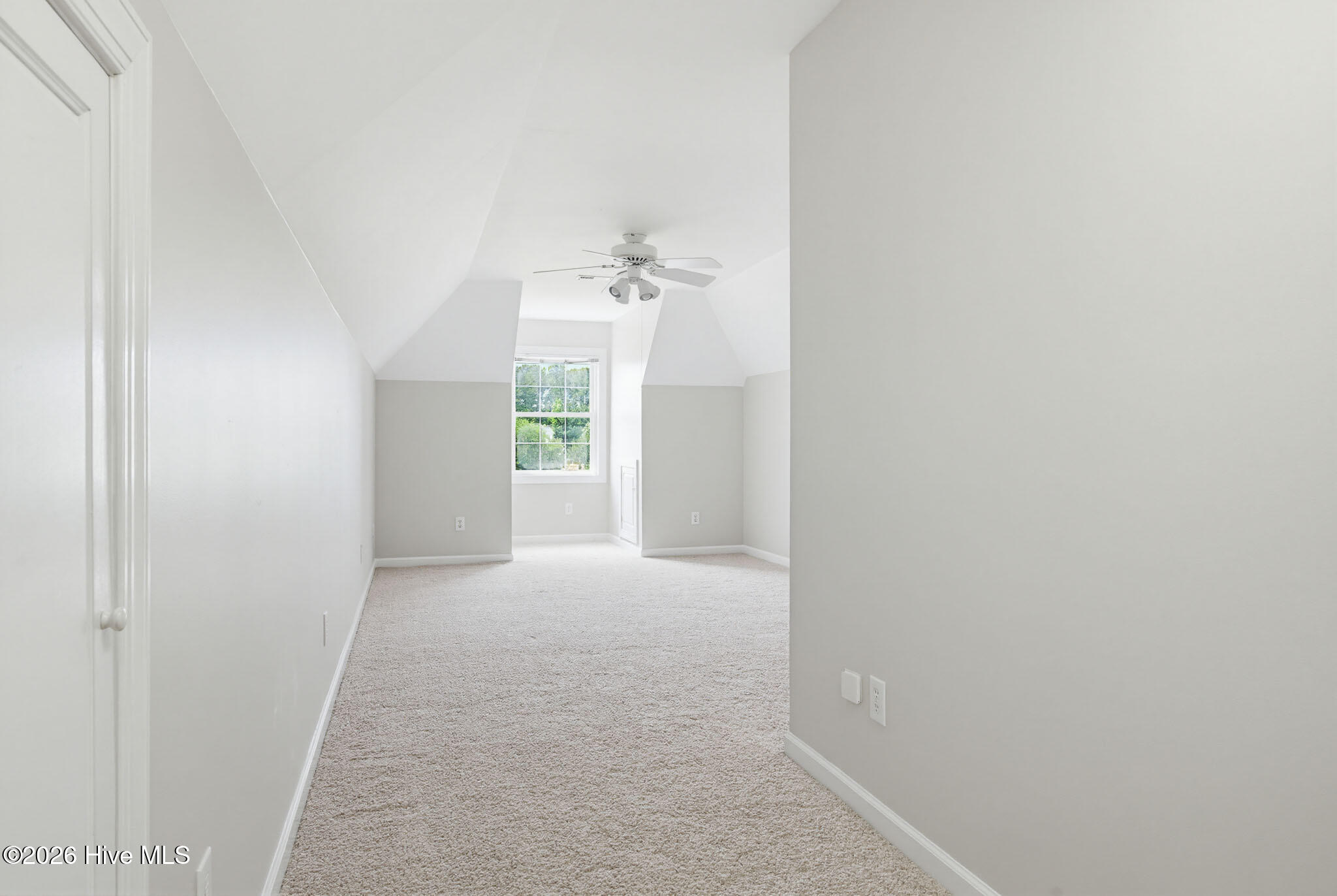 100570266 | Photo 49