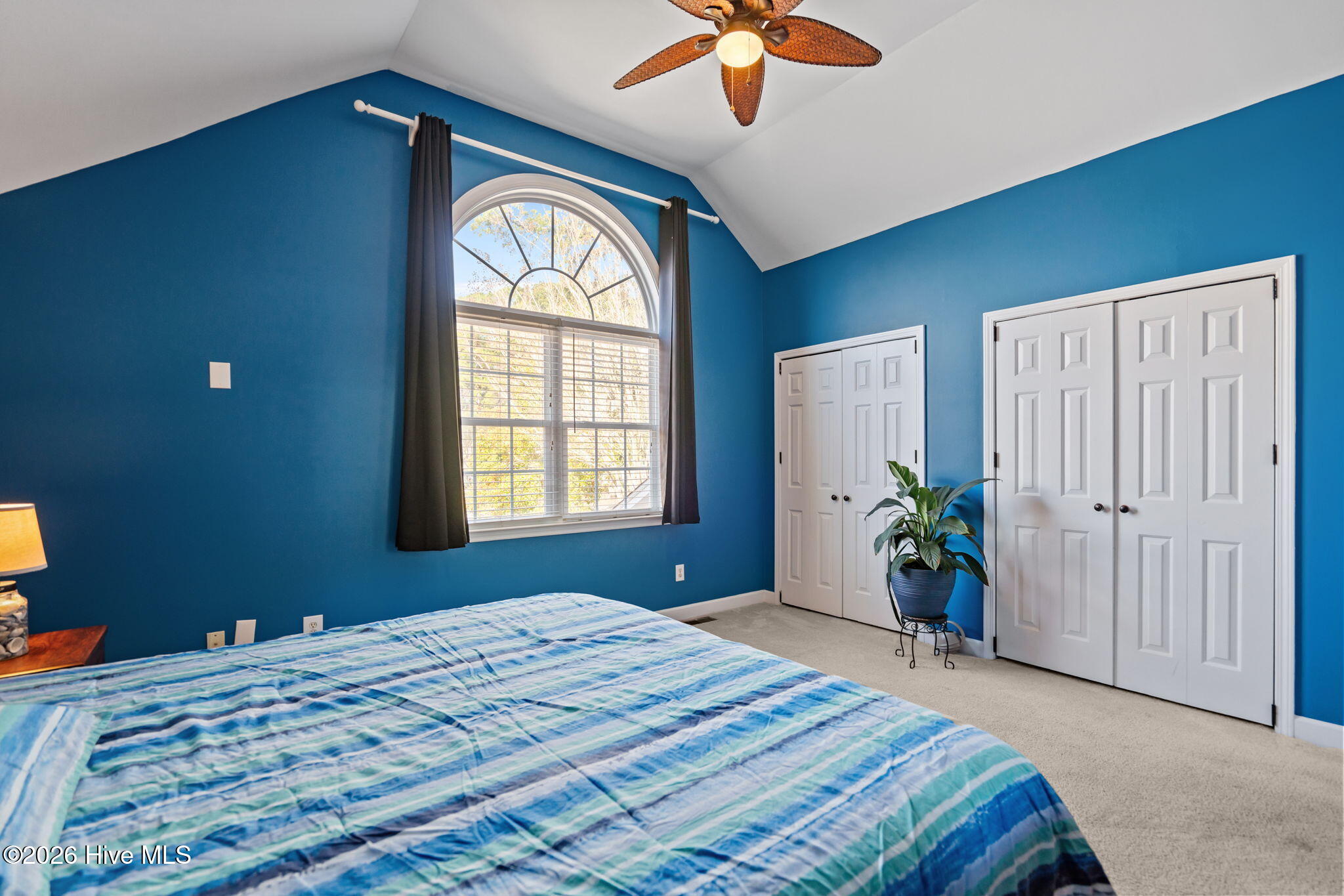 100558805 | Photo 26