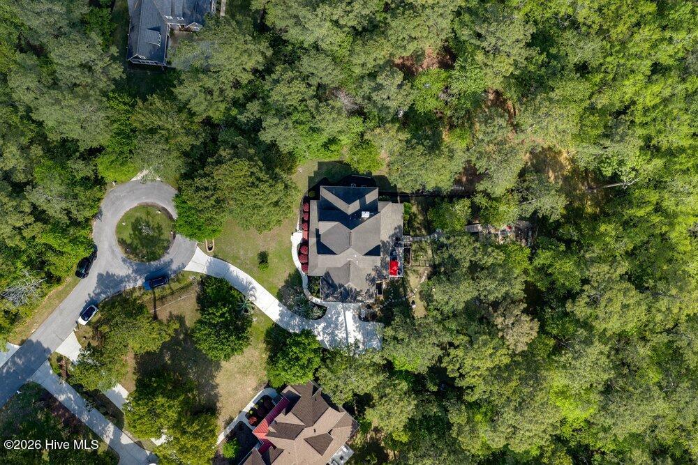 100568961 | Photo 95