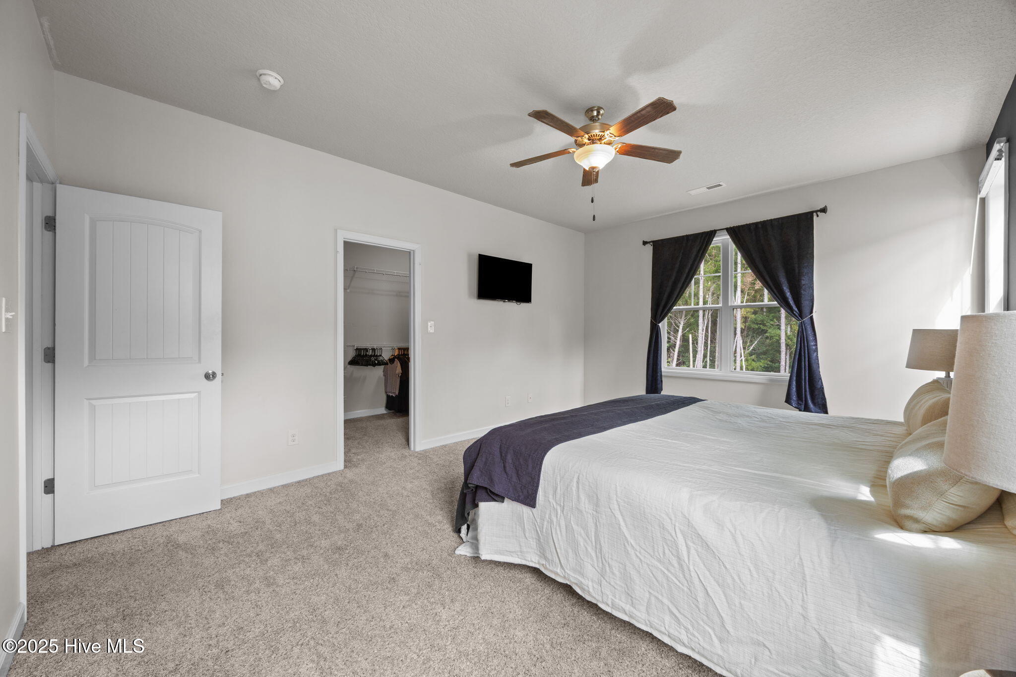 100532531 | Photo 12