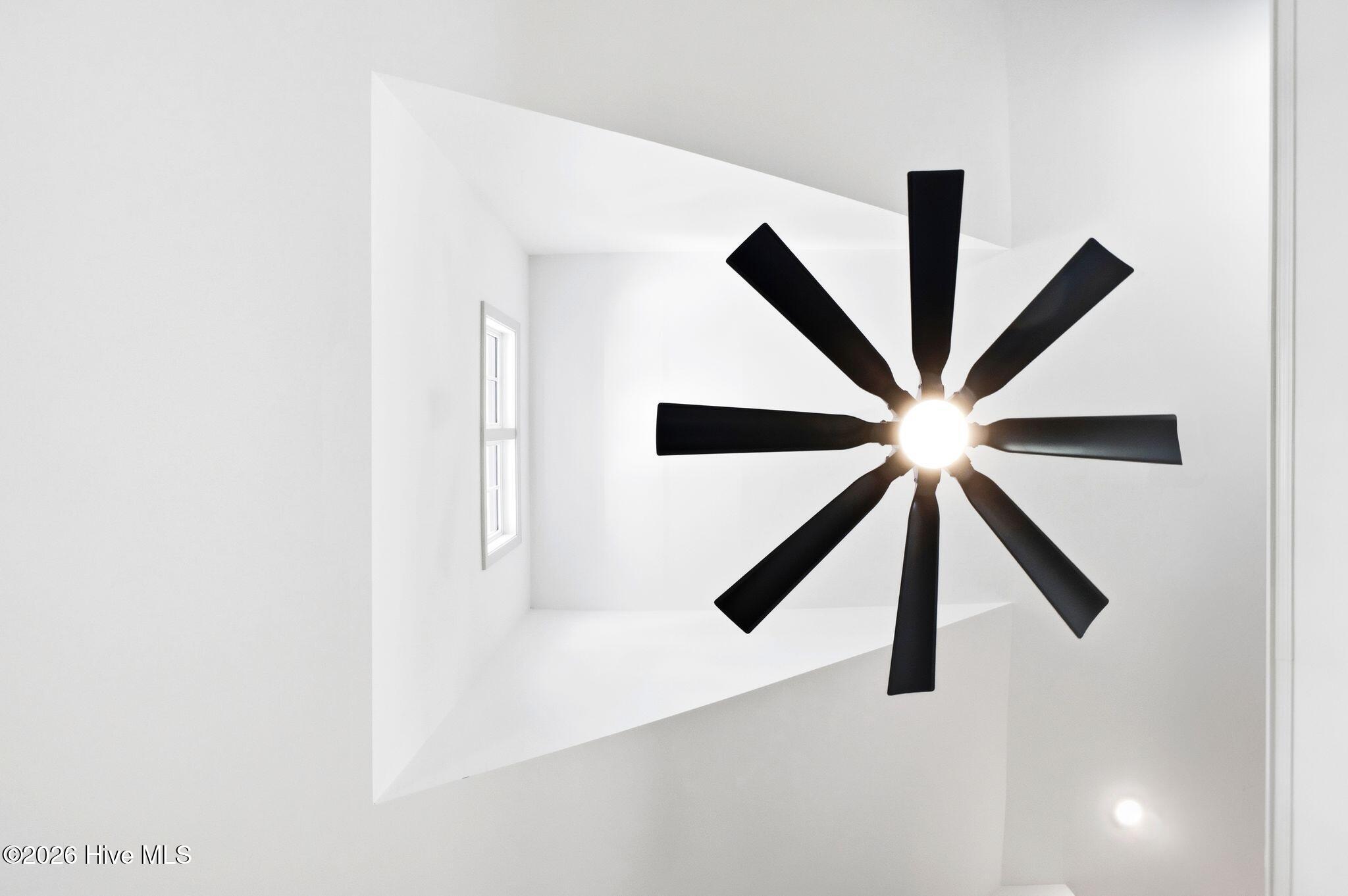 100568135 | Photo 21