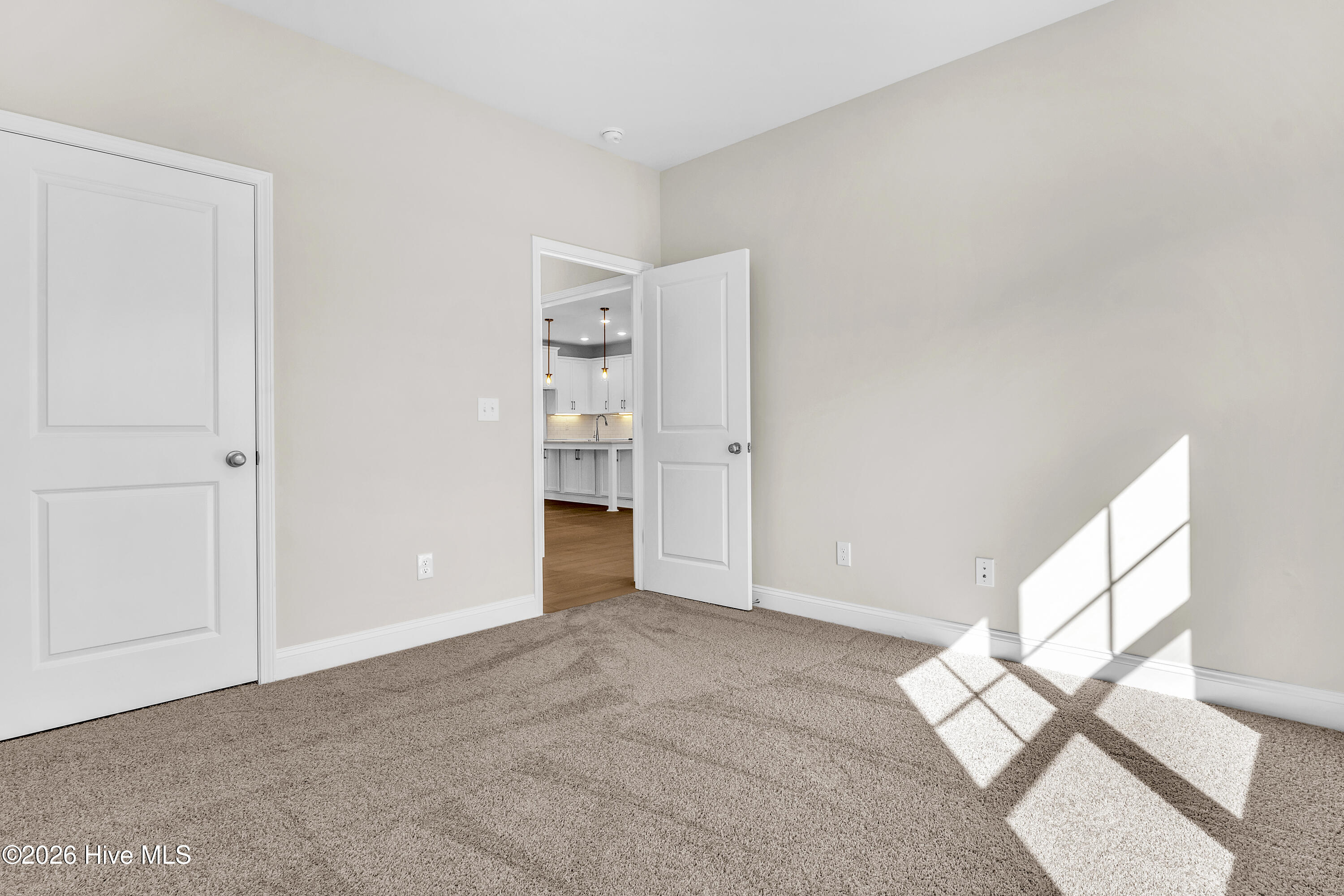 100563562 | Photo 19