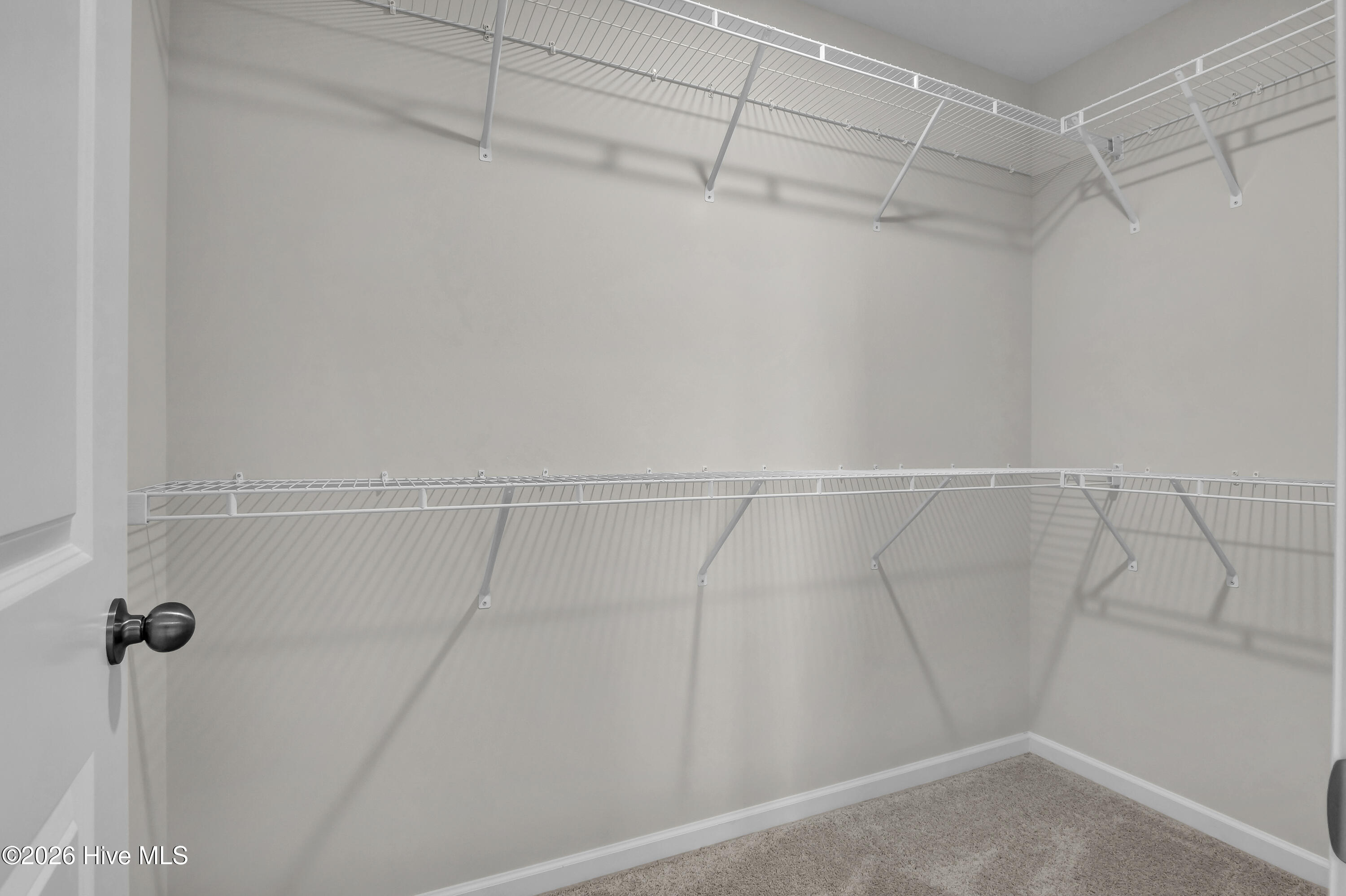 100541476 | Photo 21