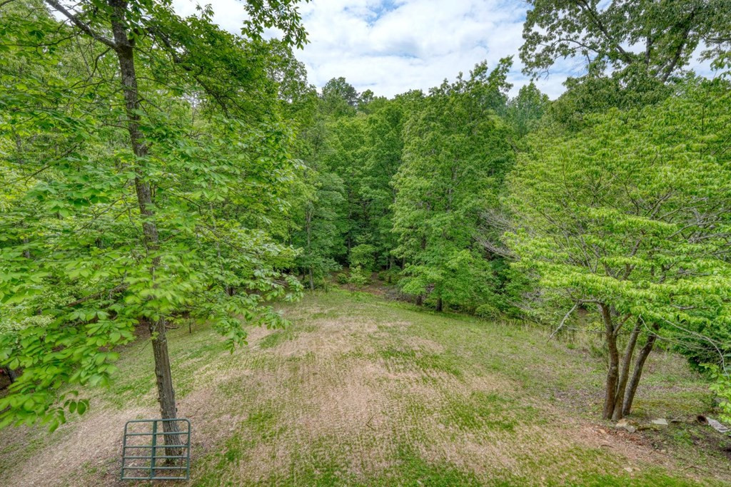277 Clay Durrett Road, Murphy, NC 28906 Listing Photo  60