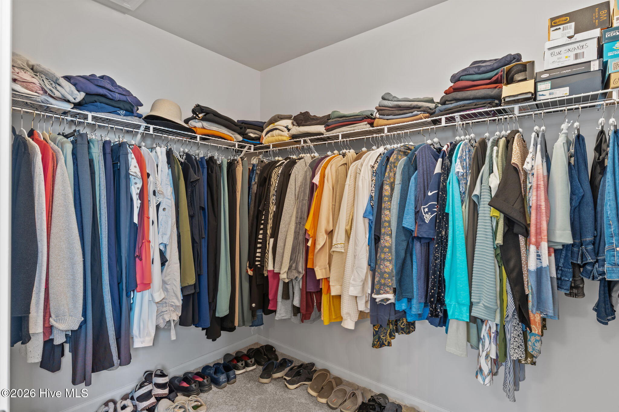 100564485 | Photo 29