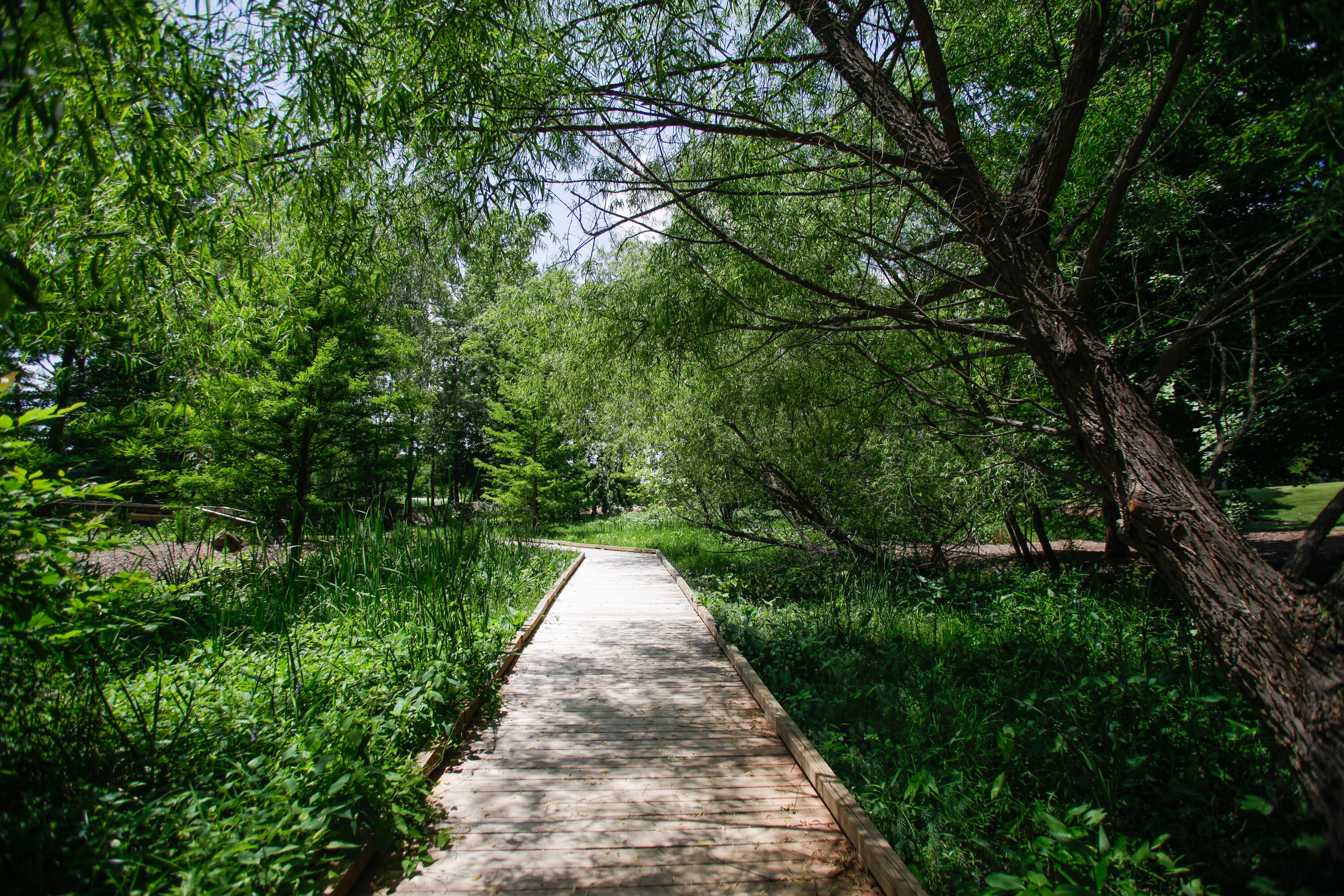 61 Crystal Lake Drive, North Augusta, SC, 29841