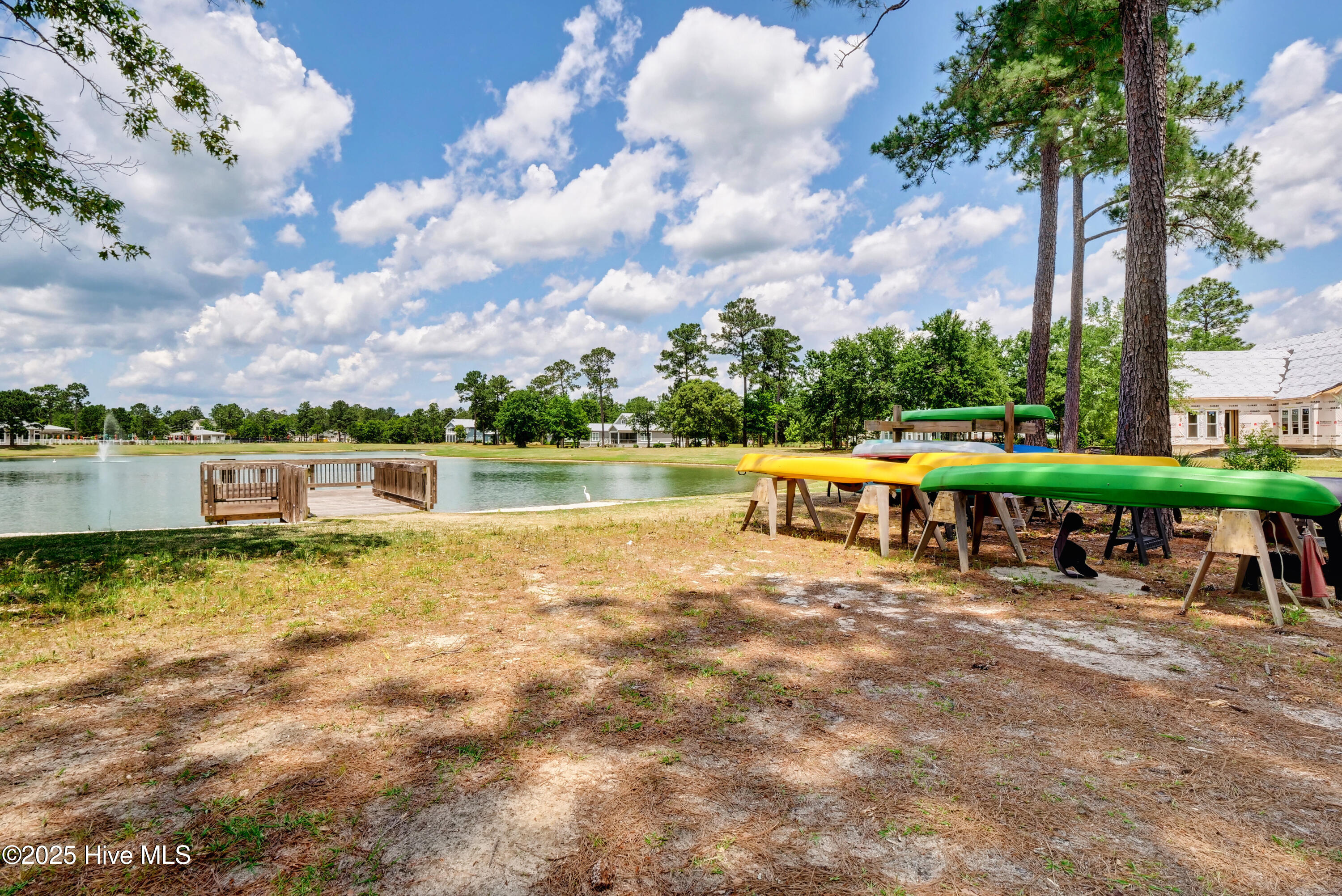 100531256 | Photo 73