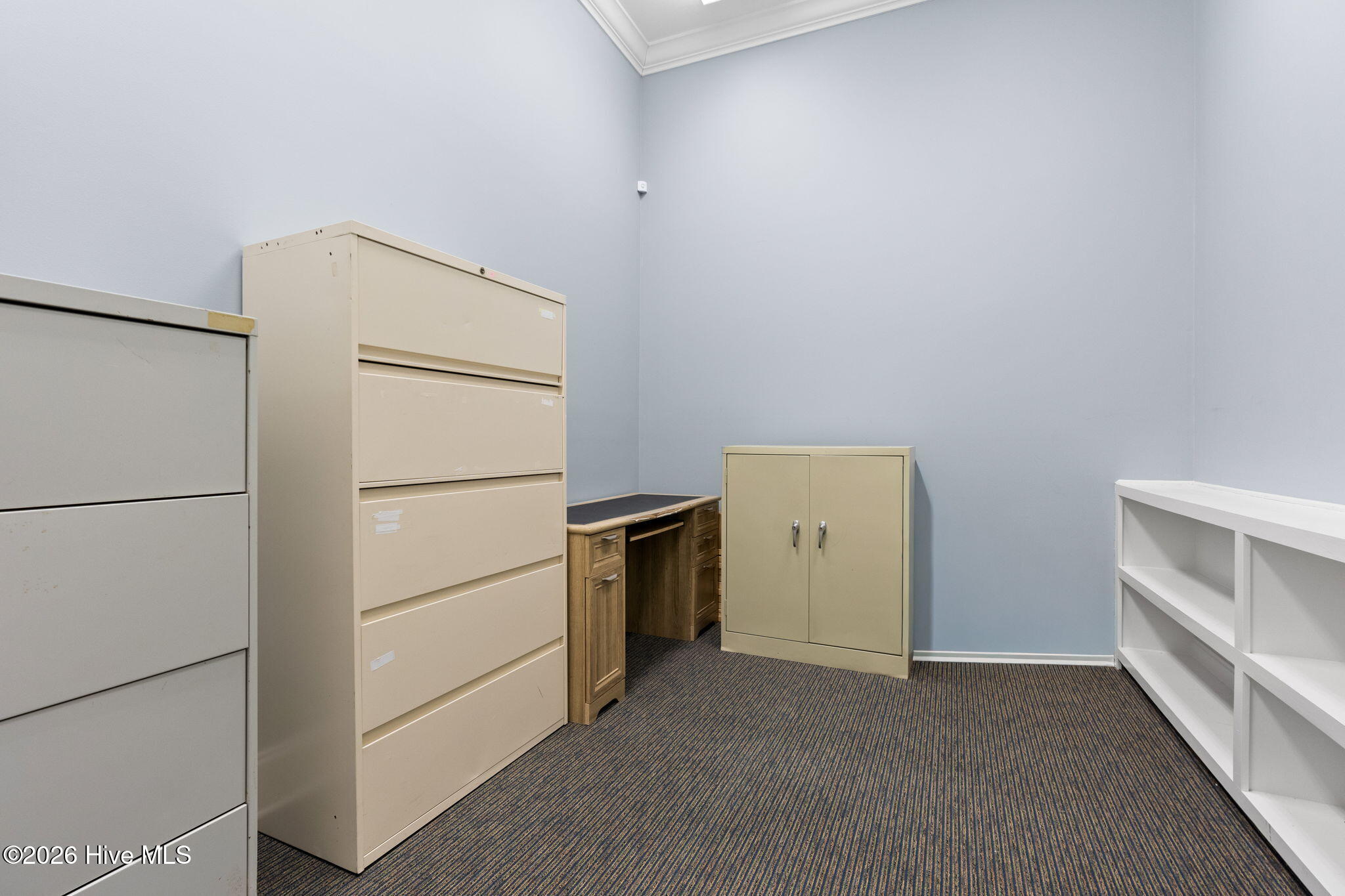 100555009 | Photo 16