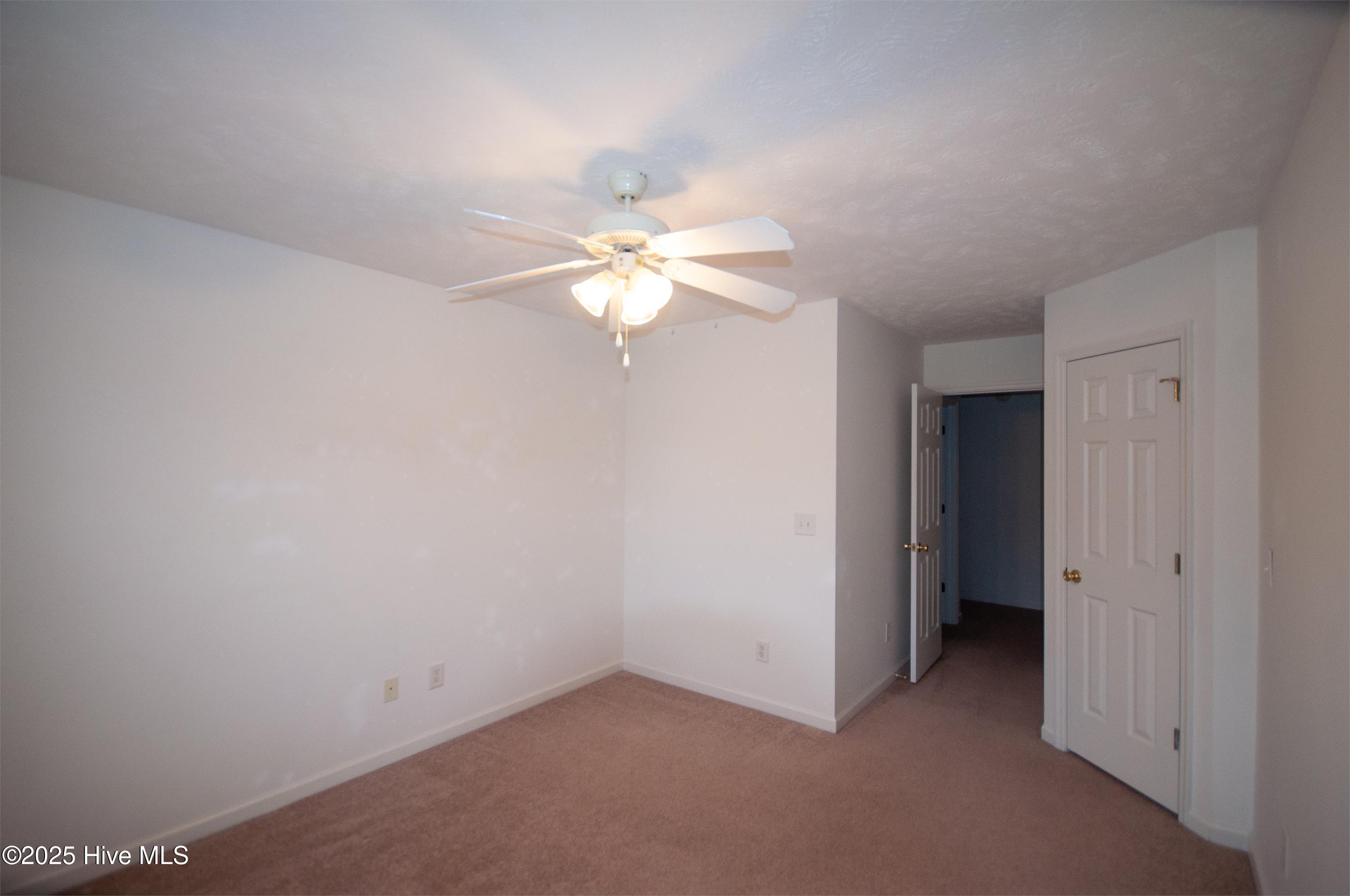 100532308 | Photo 15