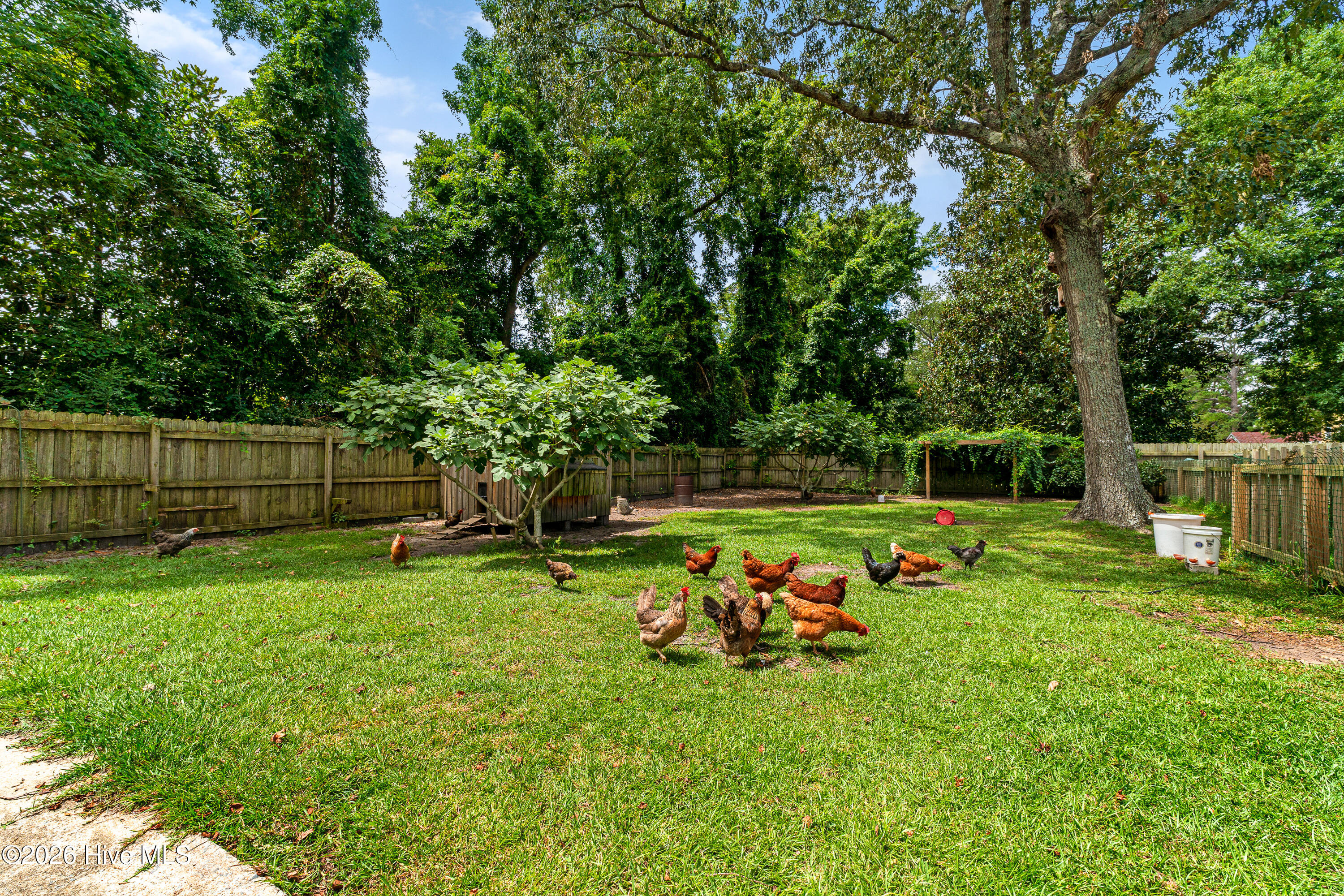 4111 Country Club Road,Morehead City