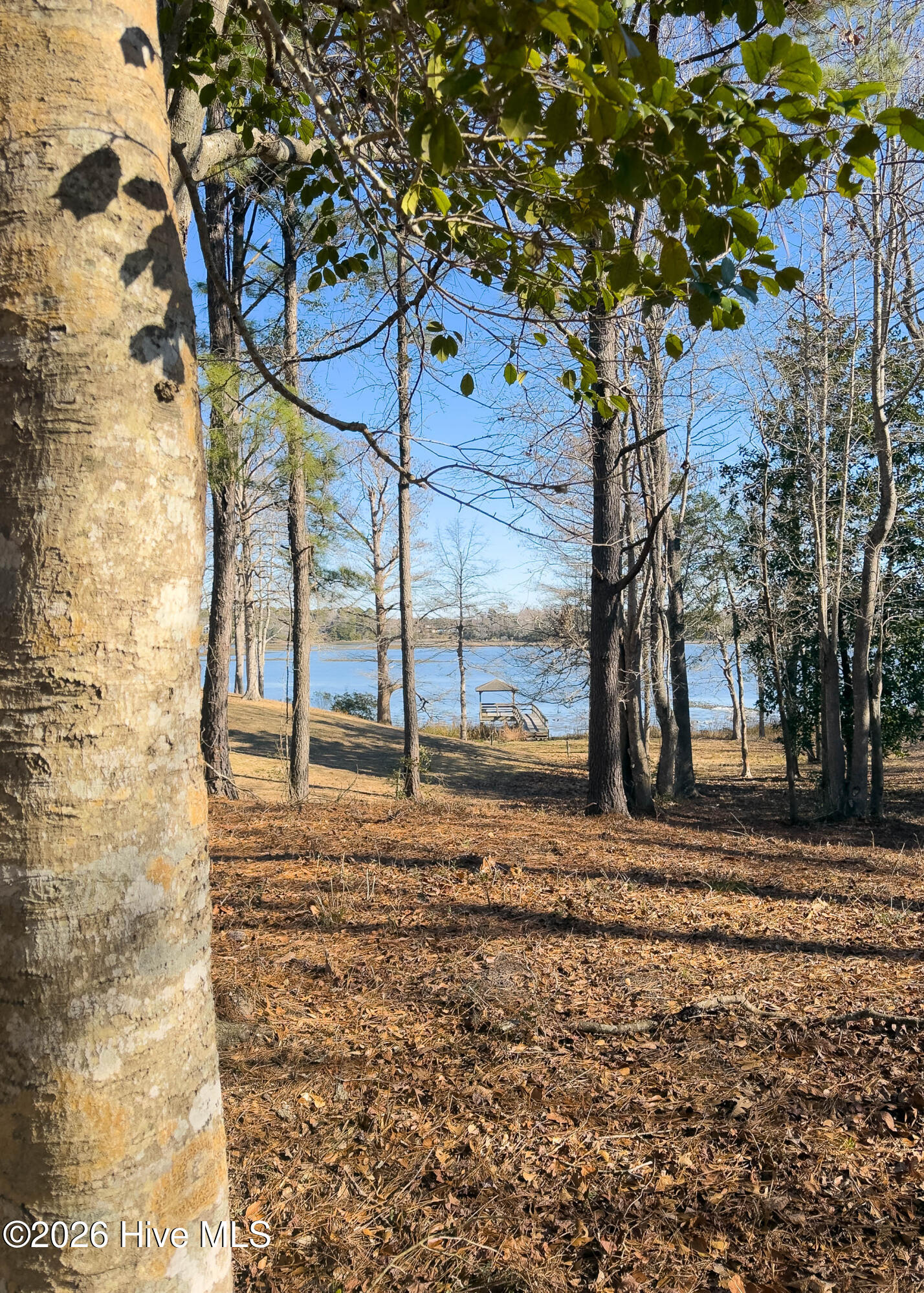 100551638 | Photo 34