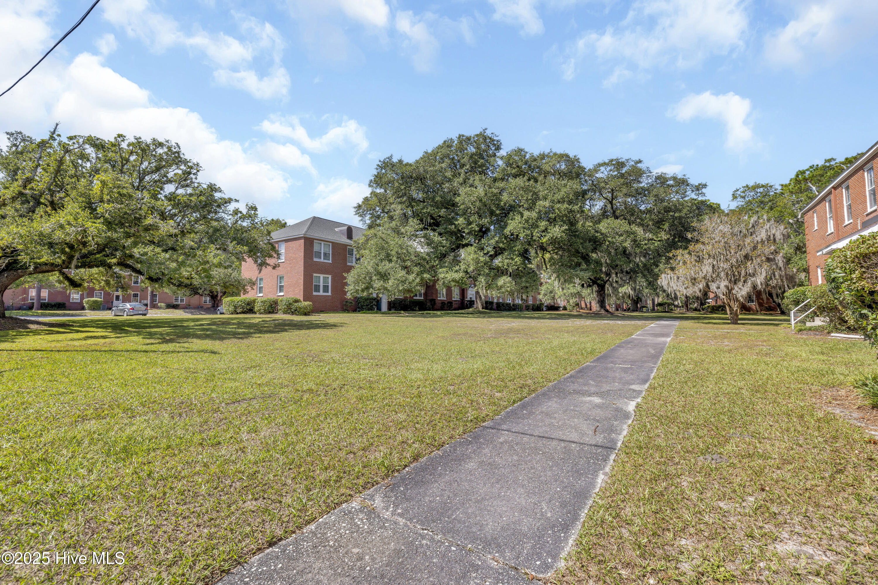 100534862 | Photo 23