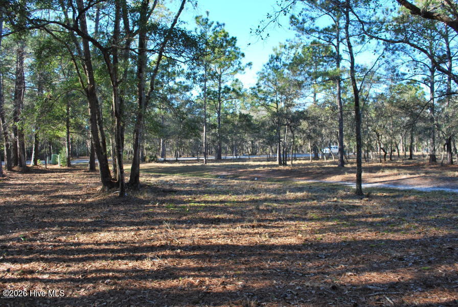 Shirley Johnson - MLS Number: 100567541