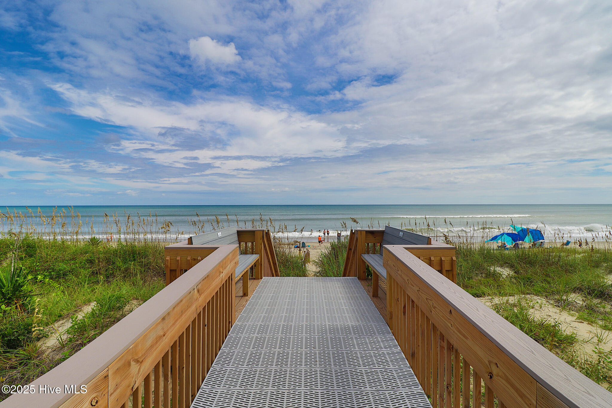 100527418 | Photo 47